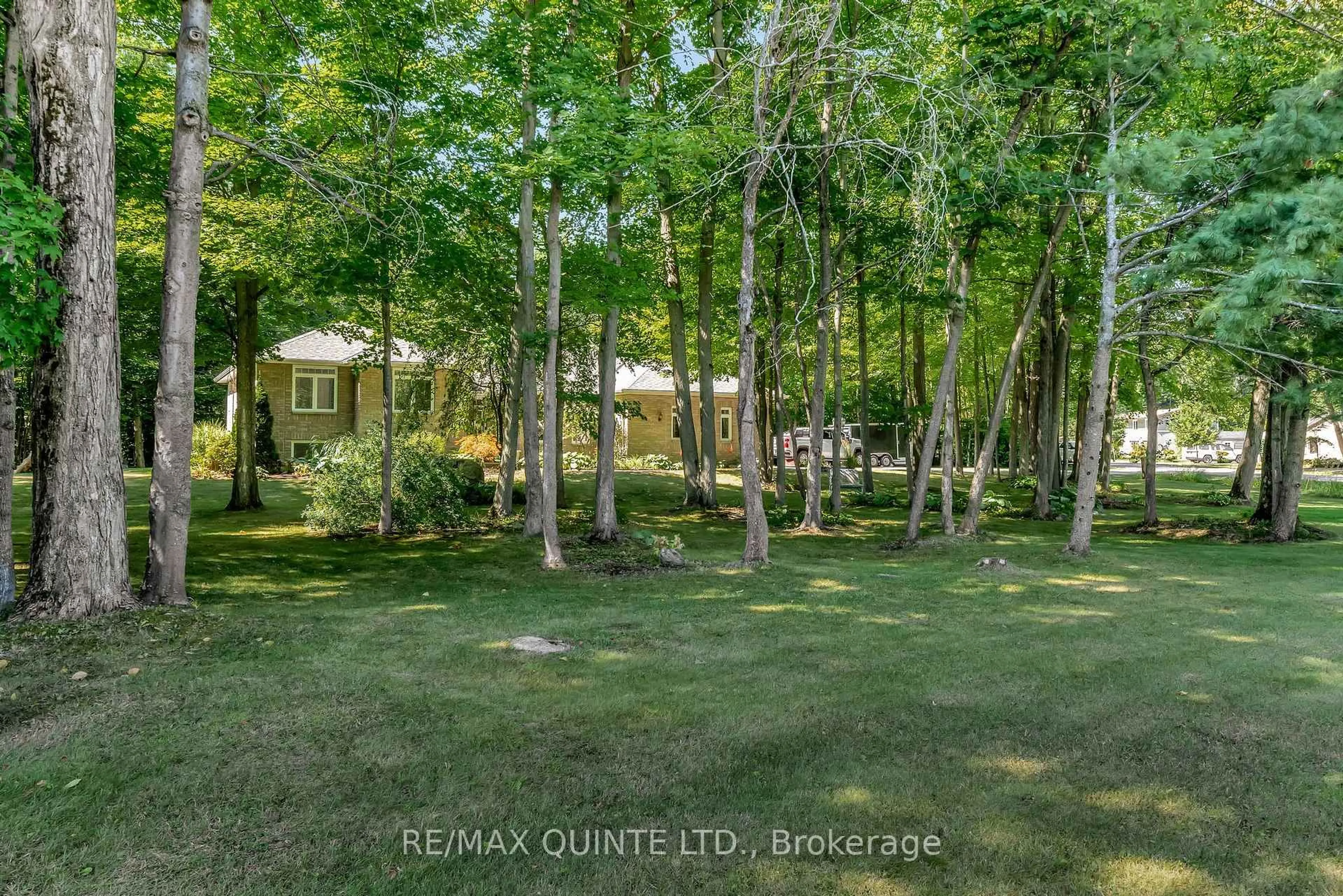 A pic from outside/outdoor area/front of a property/back of a property/a pic from drone, forest/trees view for 291 Colonial Dr, Ingleside Ontario K8V 5P4