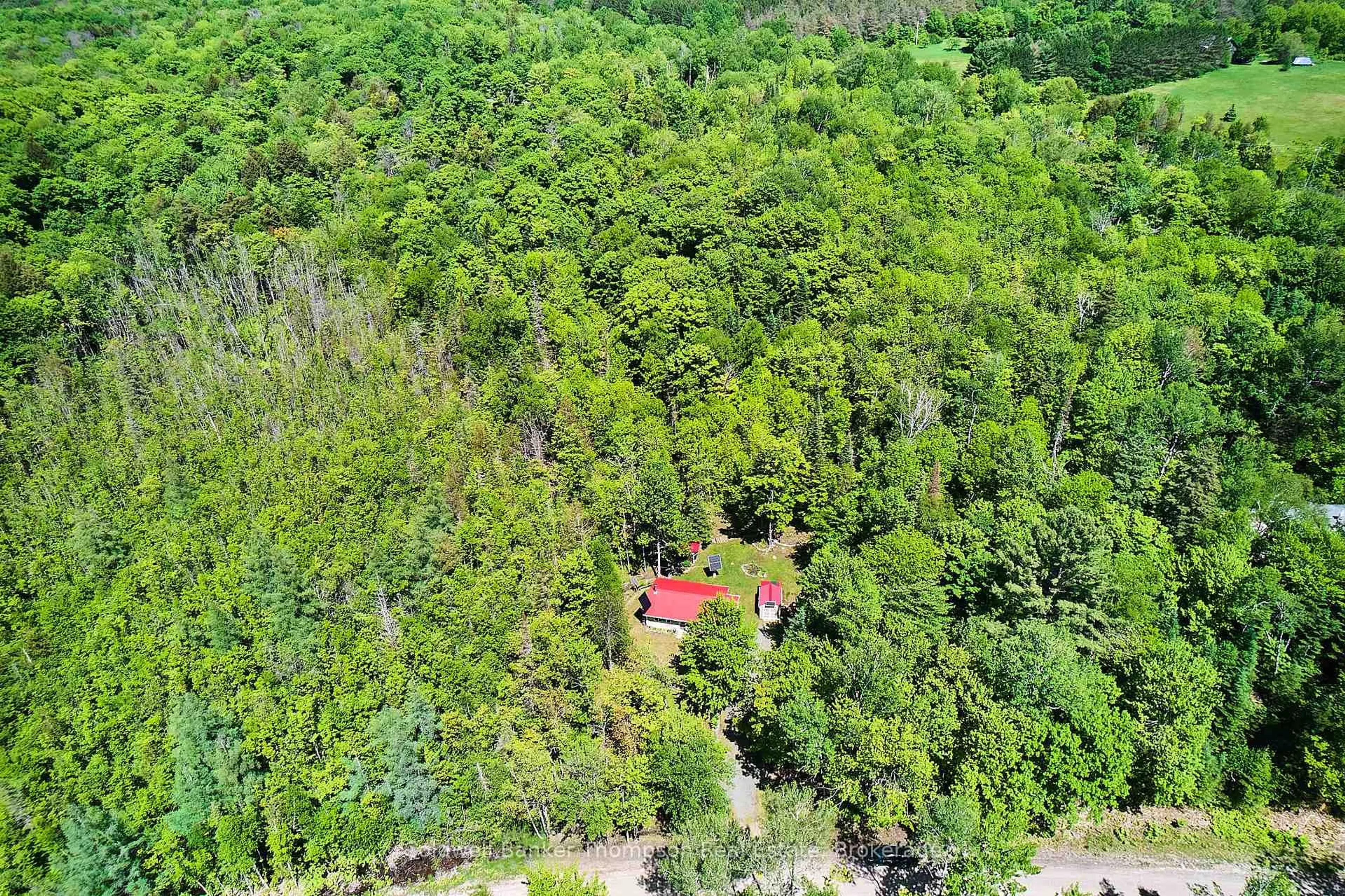 A pic from outside/outdoor area/front of a property/back of a property/a pic from drone, forest/trees view for 1022 Upper Walker Lake Rd, Lake of Bays Ontario P1H 2J6