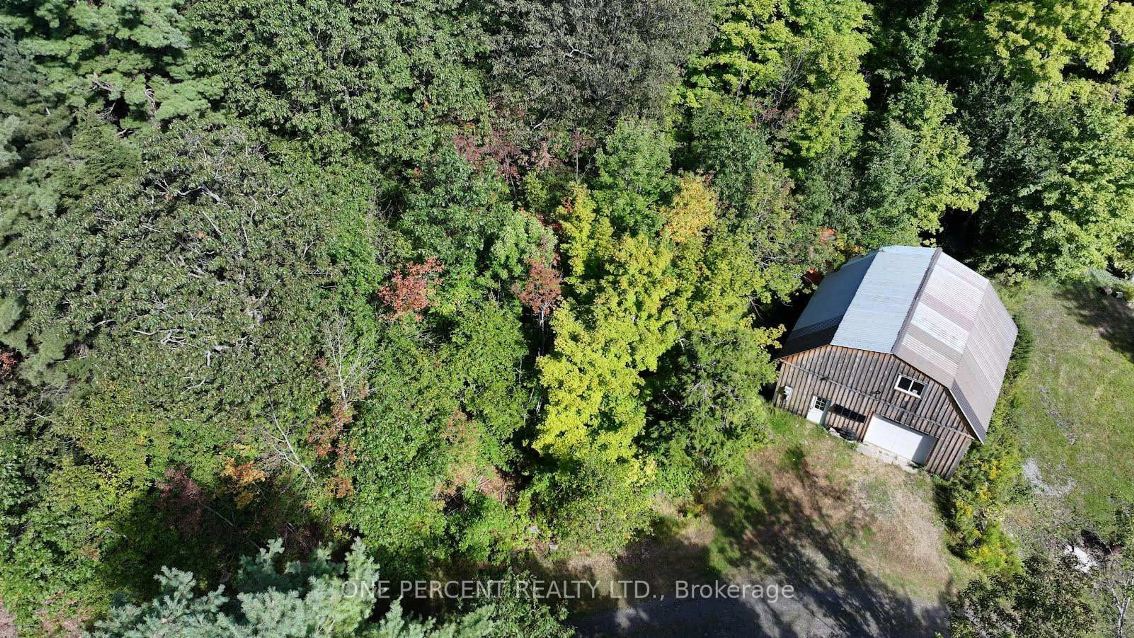 A pic from outside/outdoor area/front of a property/back of a property/a pic from drone, forest/trees view for 2831 Hwy 141 Highway, Muskoka Lakes Ontario P0B 1M0