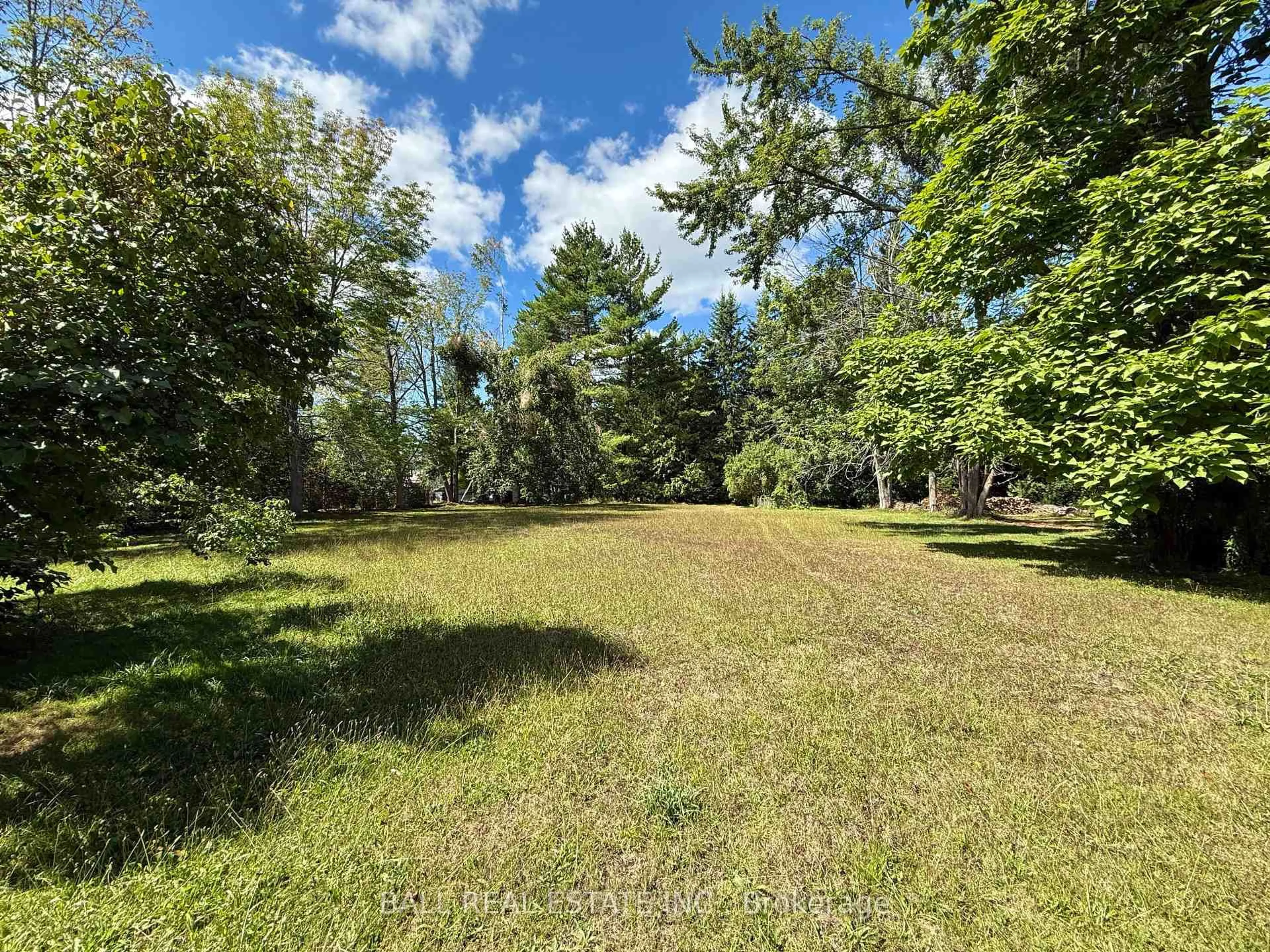 A pic from outside/outdoor area/front of a property/back of a property/a pic from drone, forest/trees view for 3017 Lakefield Rd, Selwyn Ontario K0L 2H0