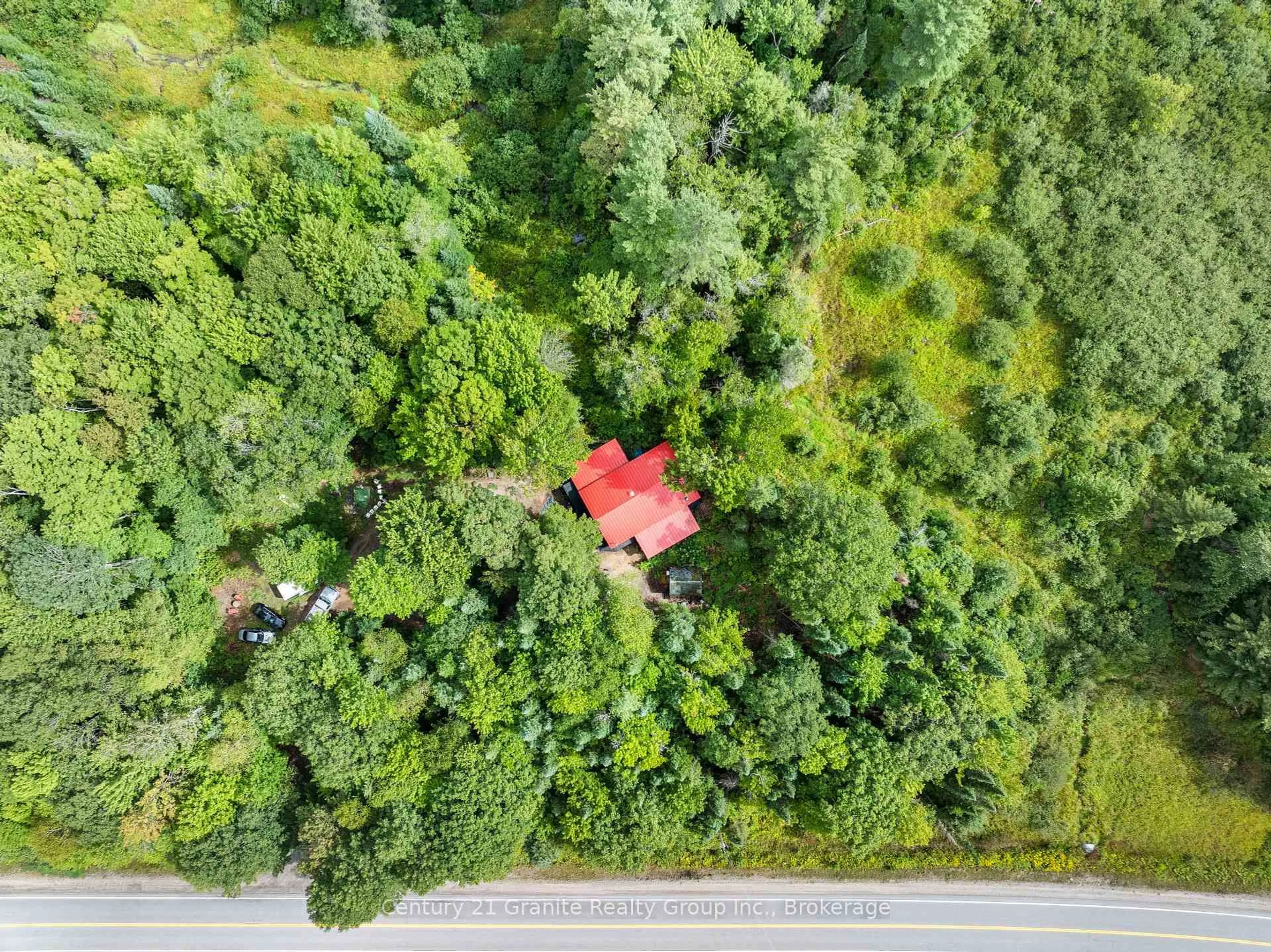 A pic from outside/outdoor area/front of a property/back of a property/a pic from drone, forest/trees view for 17812 Highway 35, Algonquin Highlands Ontario K0M 1S0