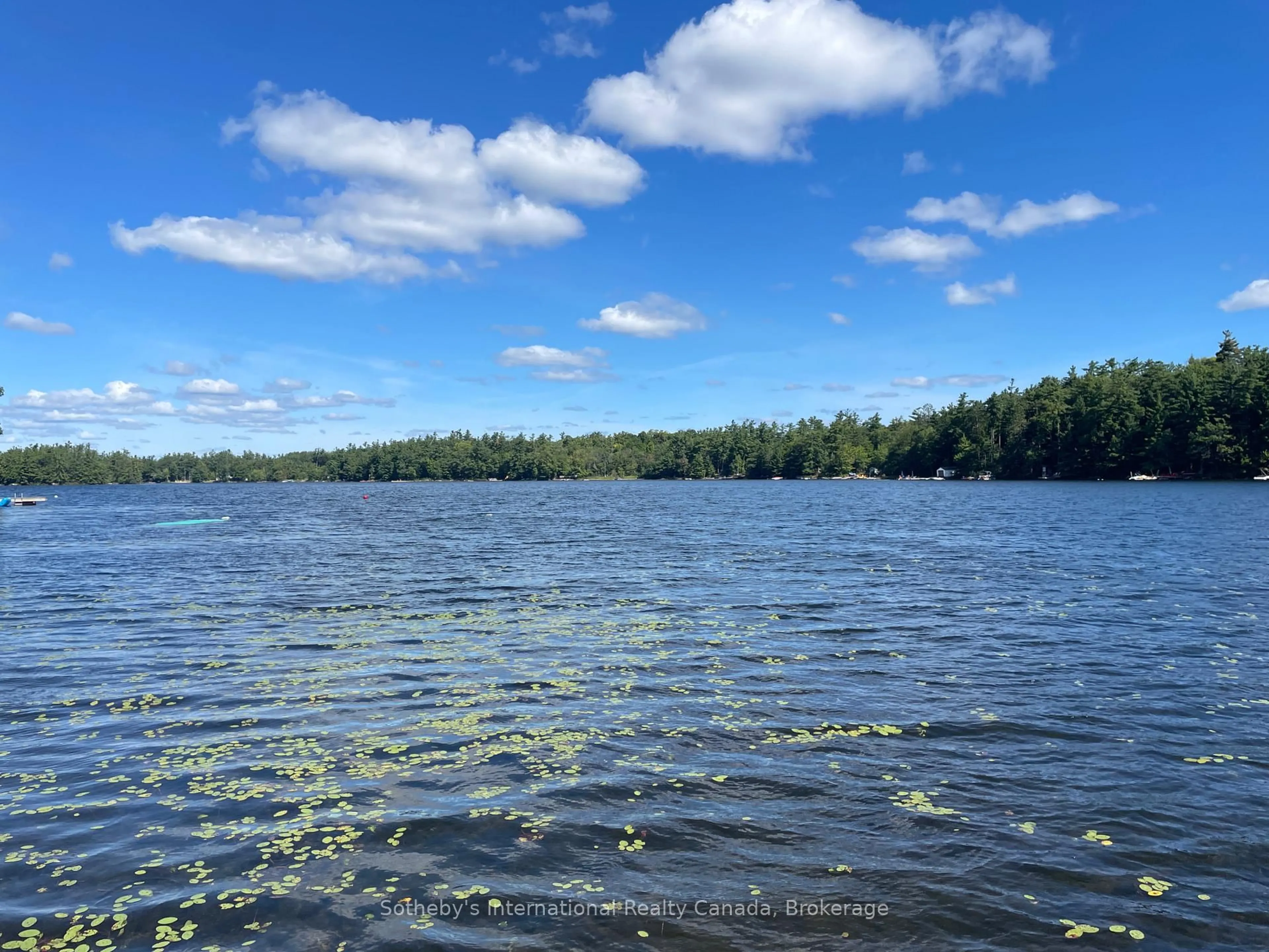 Unknown for 1080 Long Lake Rd, Muskoka Lakes Ontario P0C 1A0