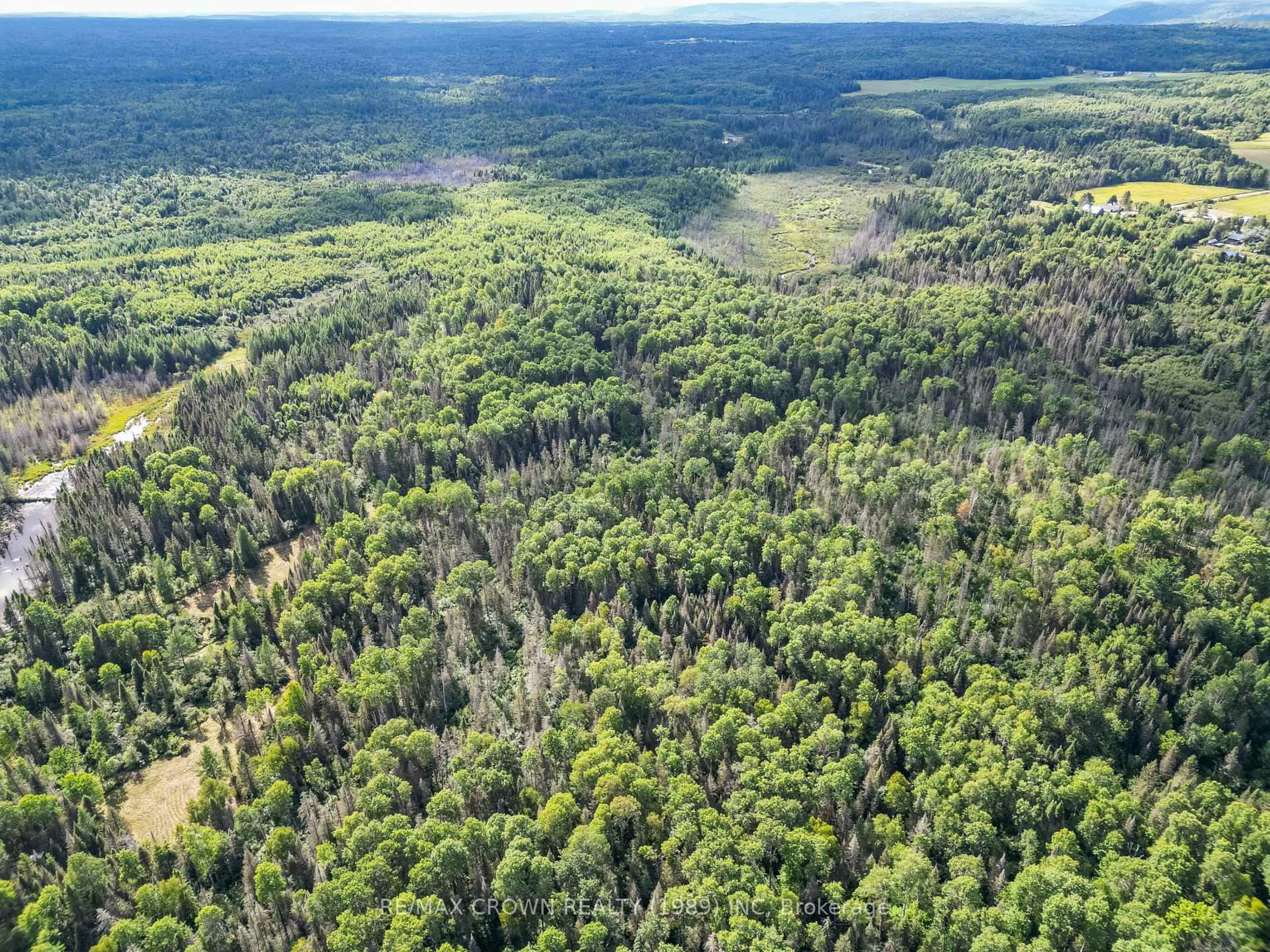 A pic from outside/outdoor area/front of a property/back of a property/a pic from drone, forest/trees view for 346 Cameron Rd, Mattawa Ontario P0H 1V0