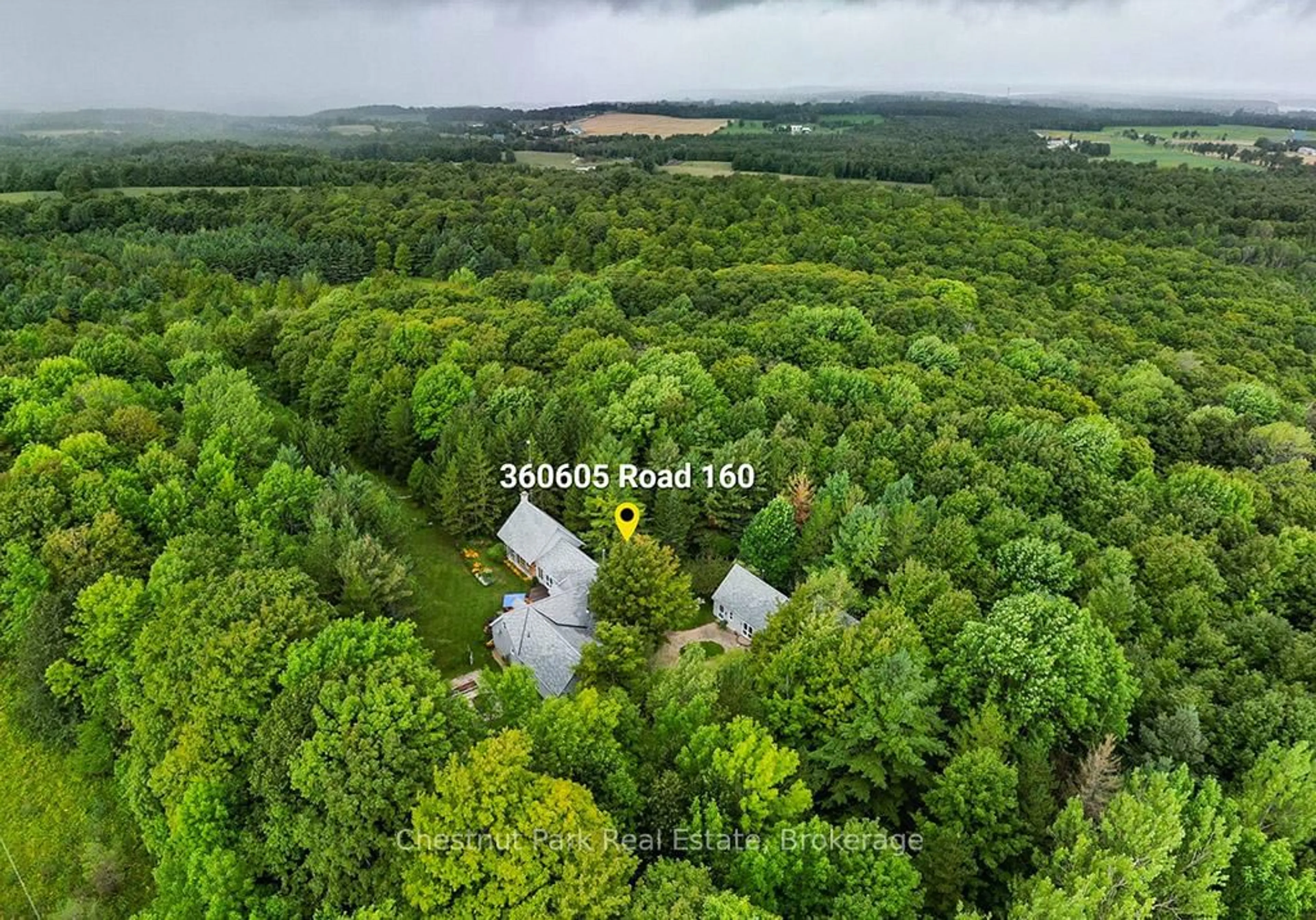 A pic from outside/outdoor area/front of a property/back of a property/a pic from drone, forest/trees view for 360605 160 Rd, Grey Highlands Ontario N0C 1H0