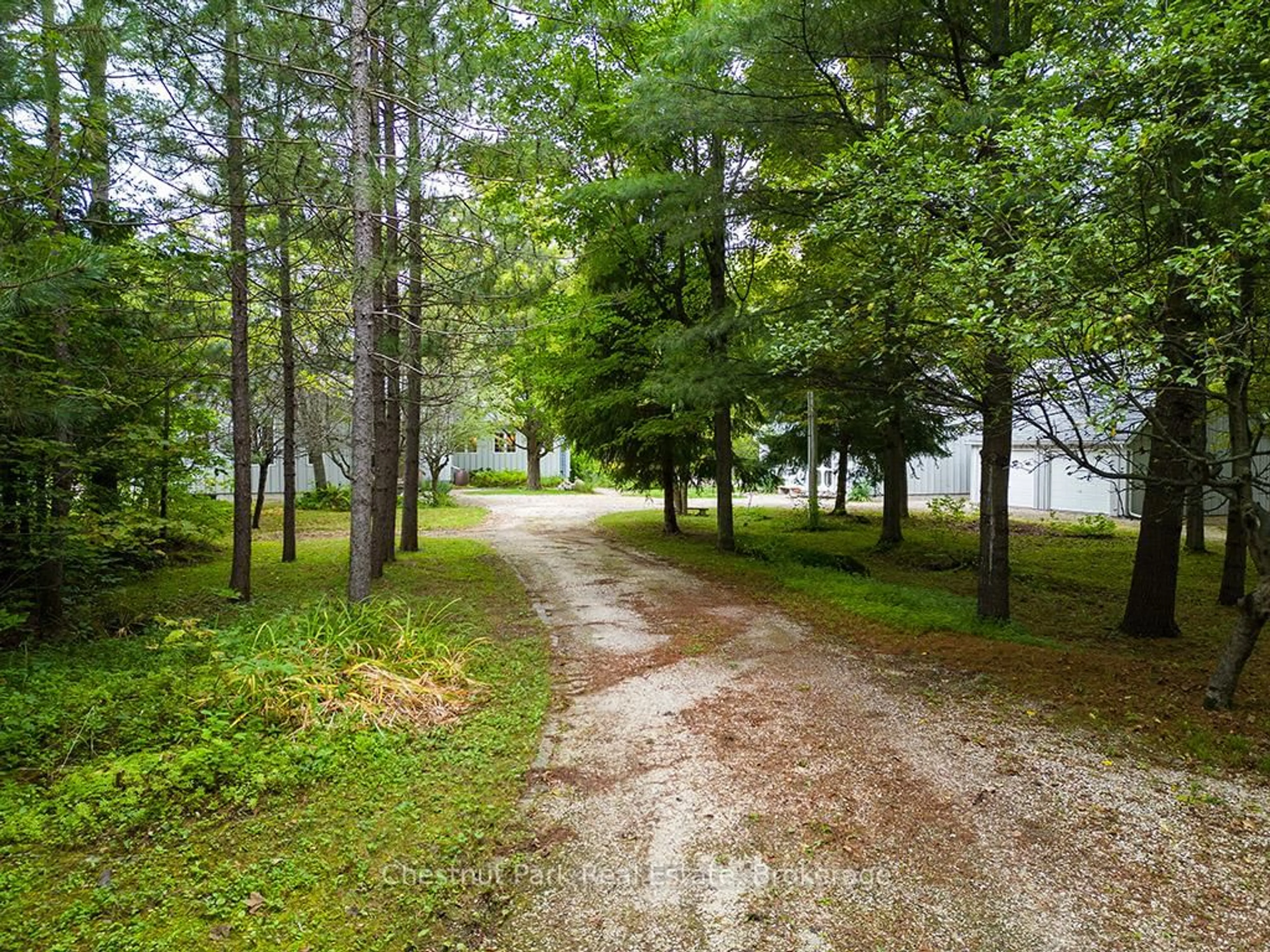 Patio, forest/trees view for 360605 160 Rd, Grey Highlands Ontario N0C 1H0