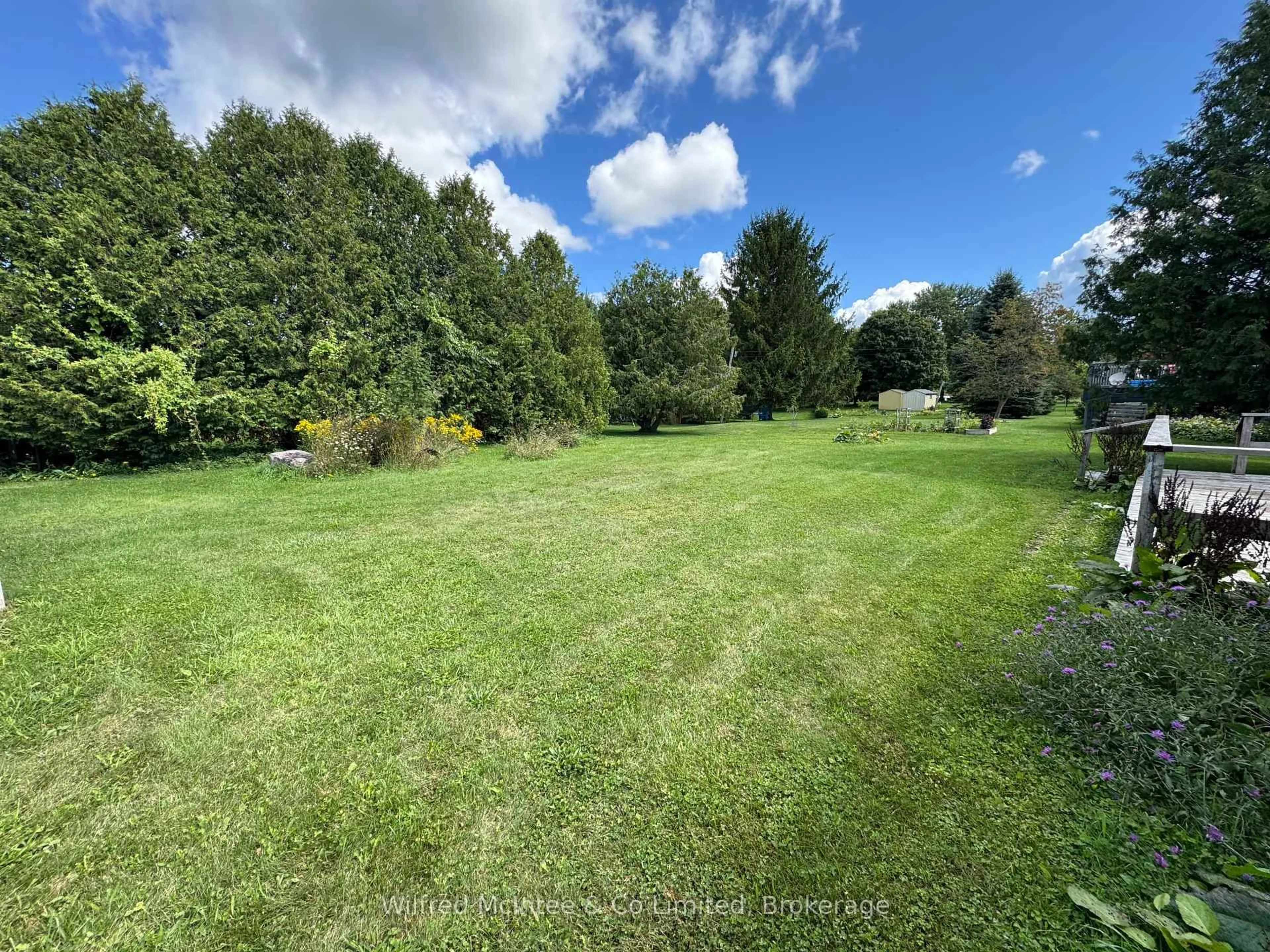 A pic from outside/outdoor area/front of a property/back of a property/a pic from drone, forest/trees view for 290 Concession 12 Rd, South Bruce Ontario N0G 1W0