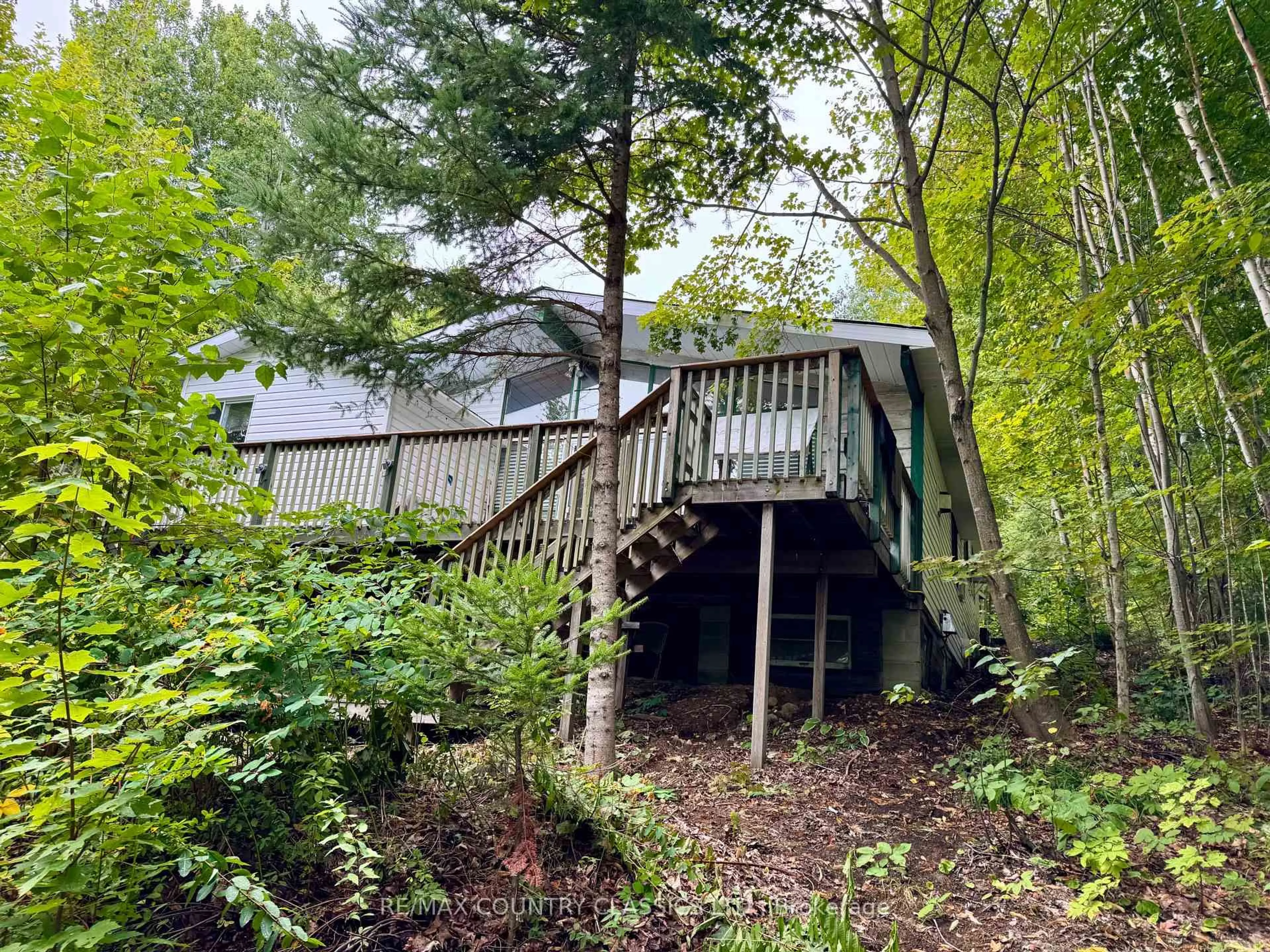 Shed for 256 Elgin Rd, Maynooth Ontario K0L 2K0
