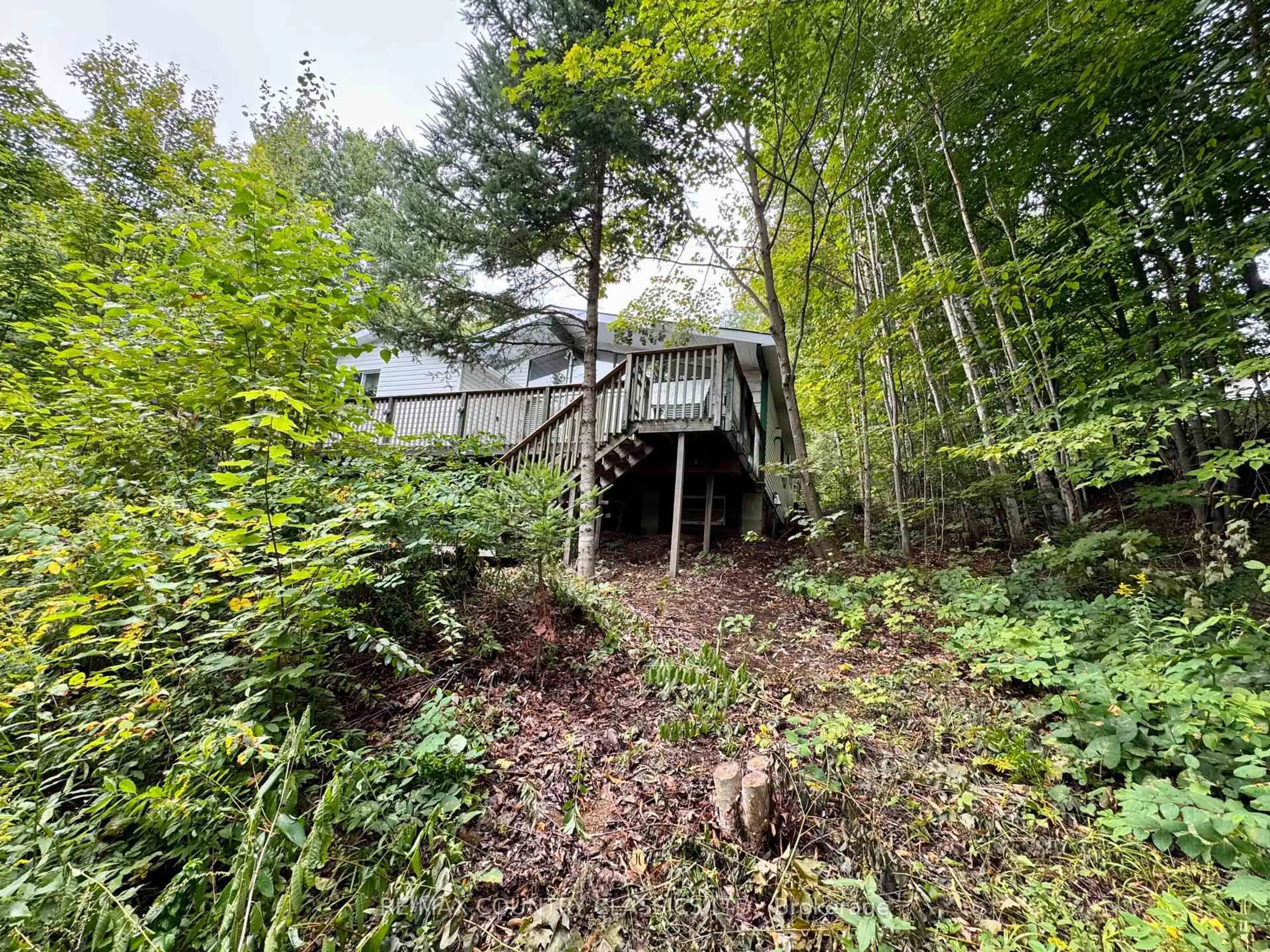 Shed for 256 Elgin Rd, Maynooth Ontario K0L 2K0