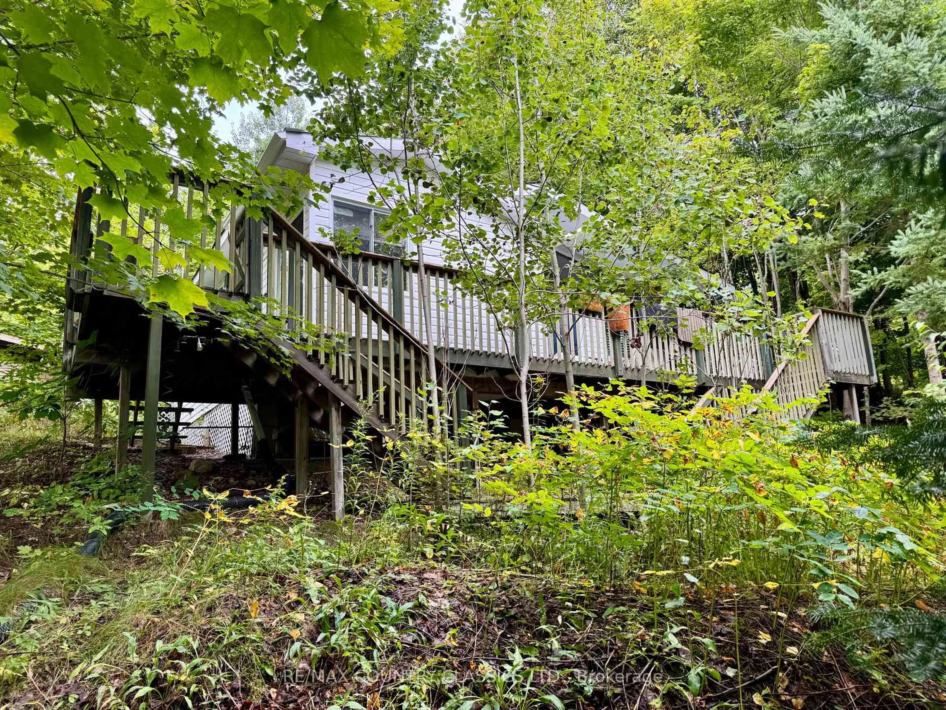 Patio, forest/trees view for 256 Elgin Rd, Maynooth Ontario K0L 2K0