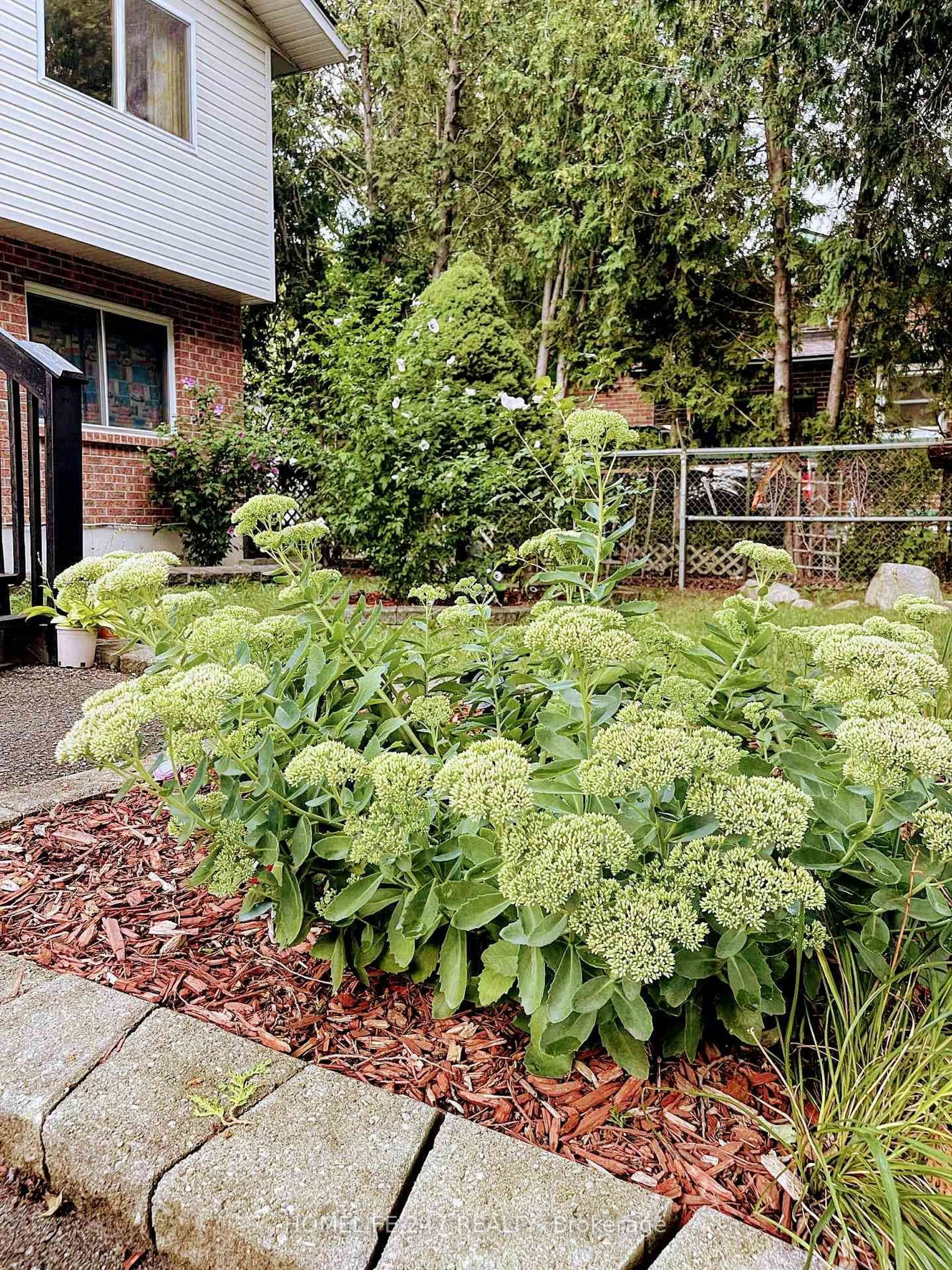 Patio, street for 331 Paisley Rd, Guelph Ontario N1H 2R1