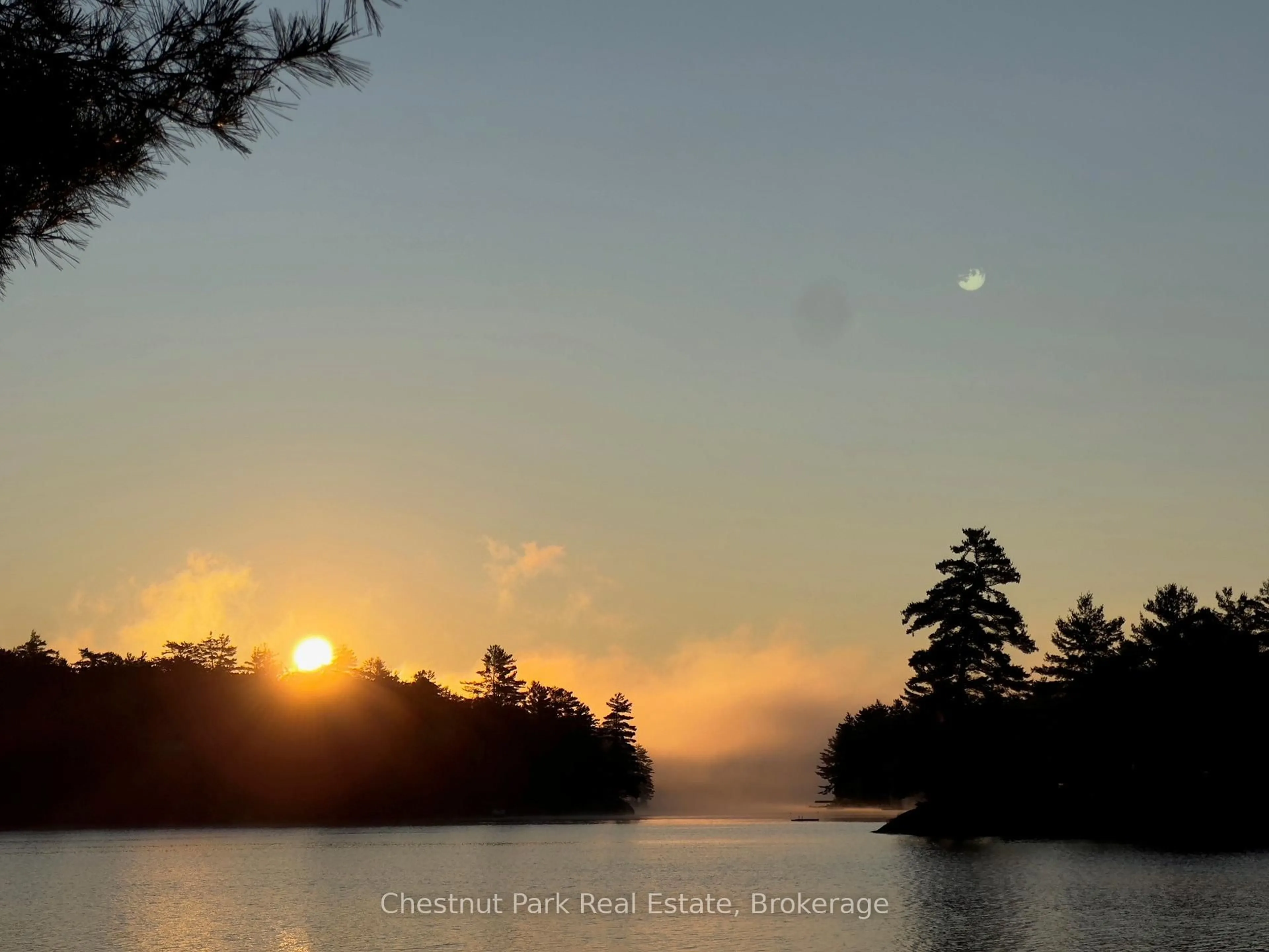 Blurry image for 10 Island 21kl, Gravenhurst Ontario P0E 1G0