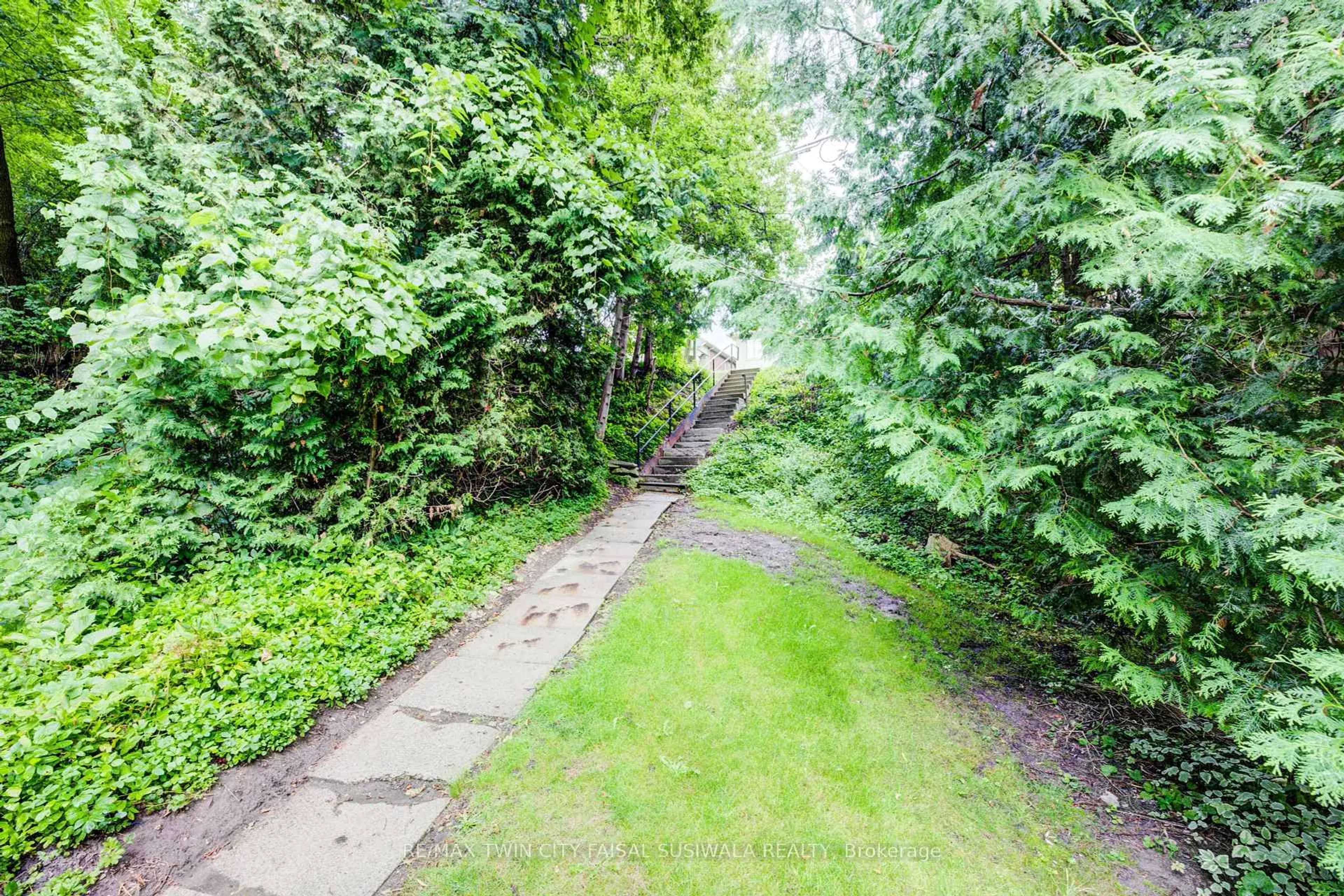 A pic from outside/outdoor area/front of a property/back of a property/a pic from drone, forest/trees view for 377 River Rd, Cambridge Ontario N3C 2B8