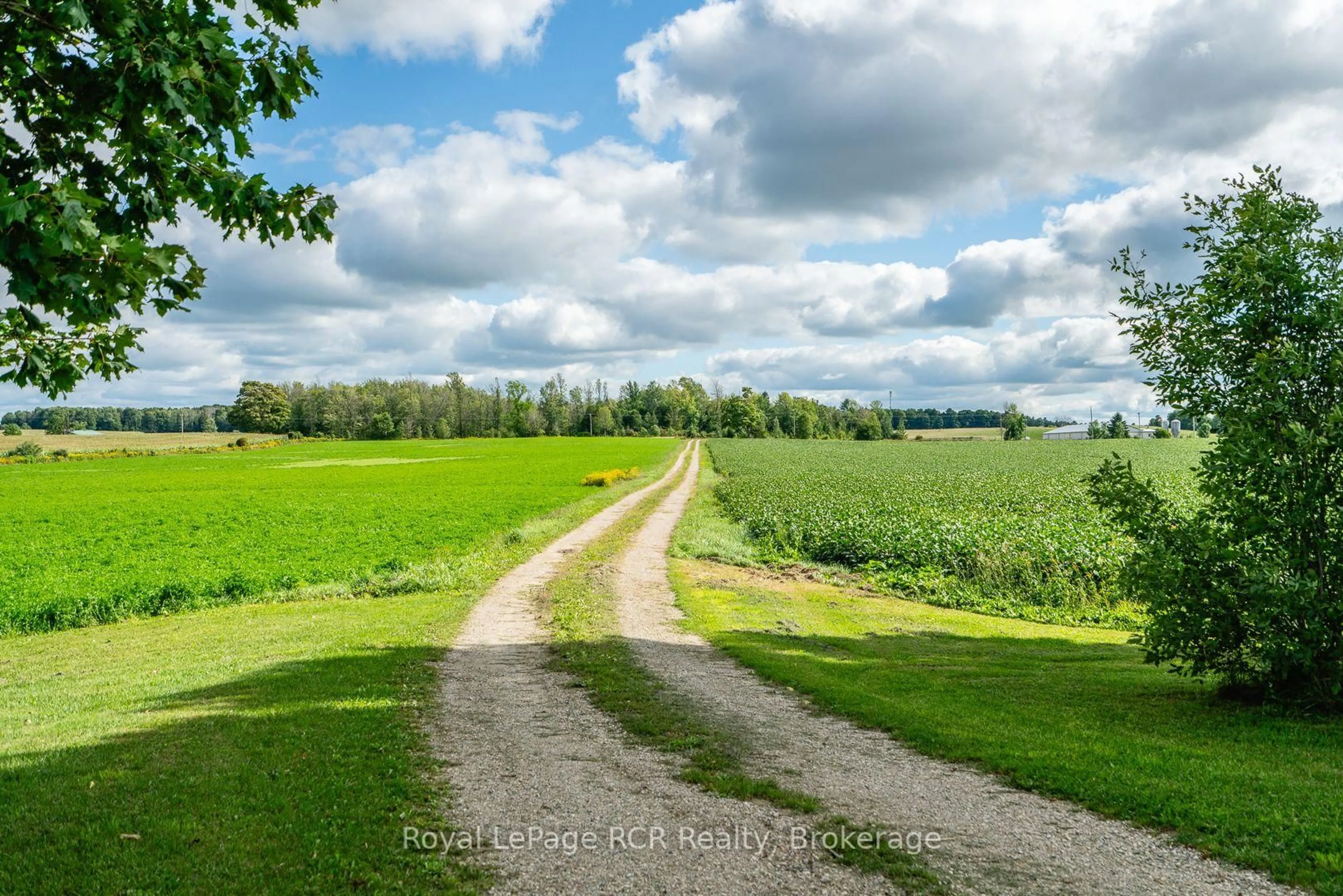 A pic from outside/outdoor area/front of a property/back of a property/a pic from drone, forest/trees view for 228 10 Concession, Brockton Ontario N0G 1J0
