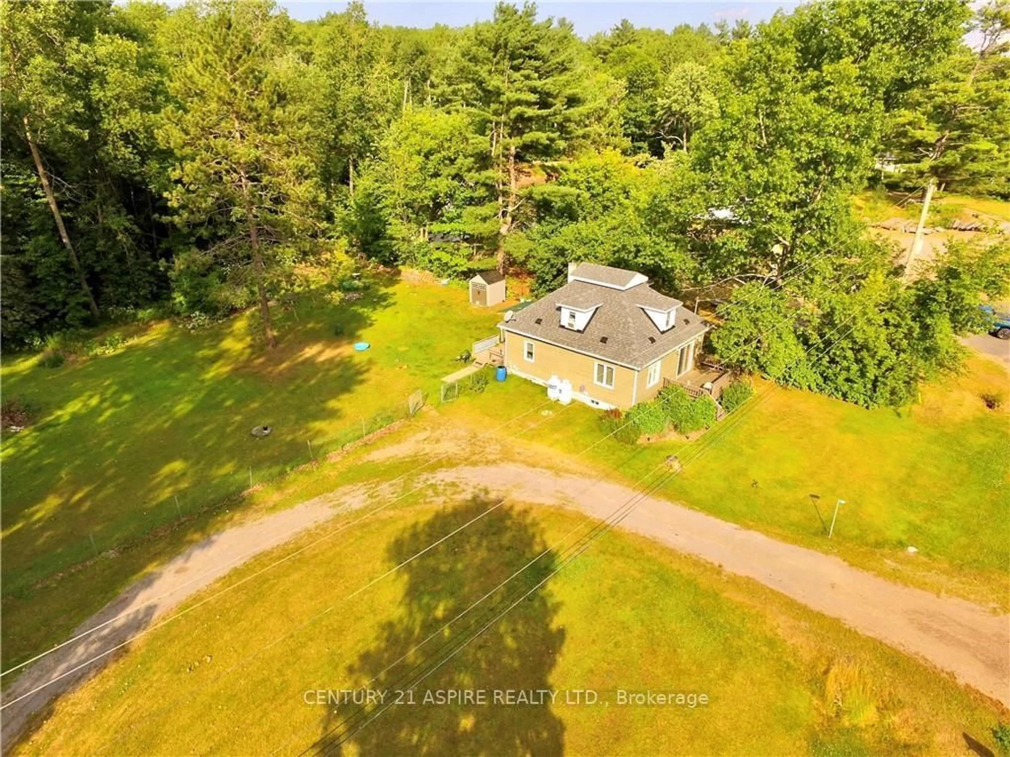 A pic from outside/outdoor area/front of a property/back of a property/a pic from drone, forest/trees view for 13314 60 Highway, Golden Lake Ontario K0J 1X0
