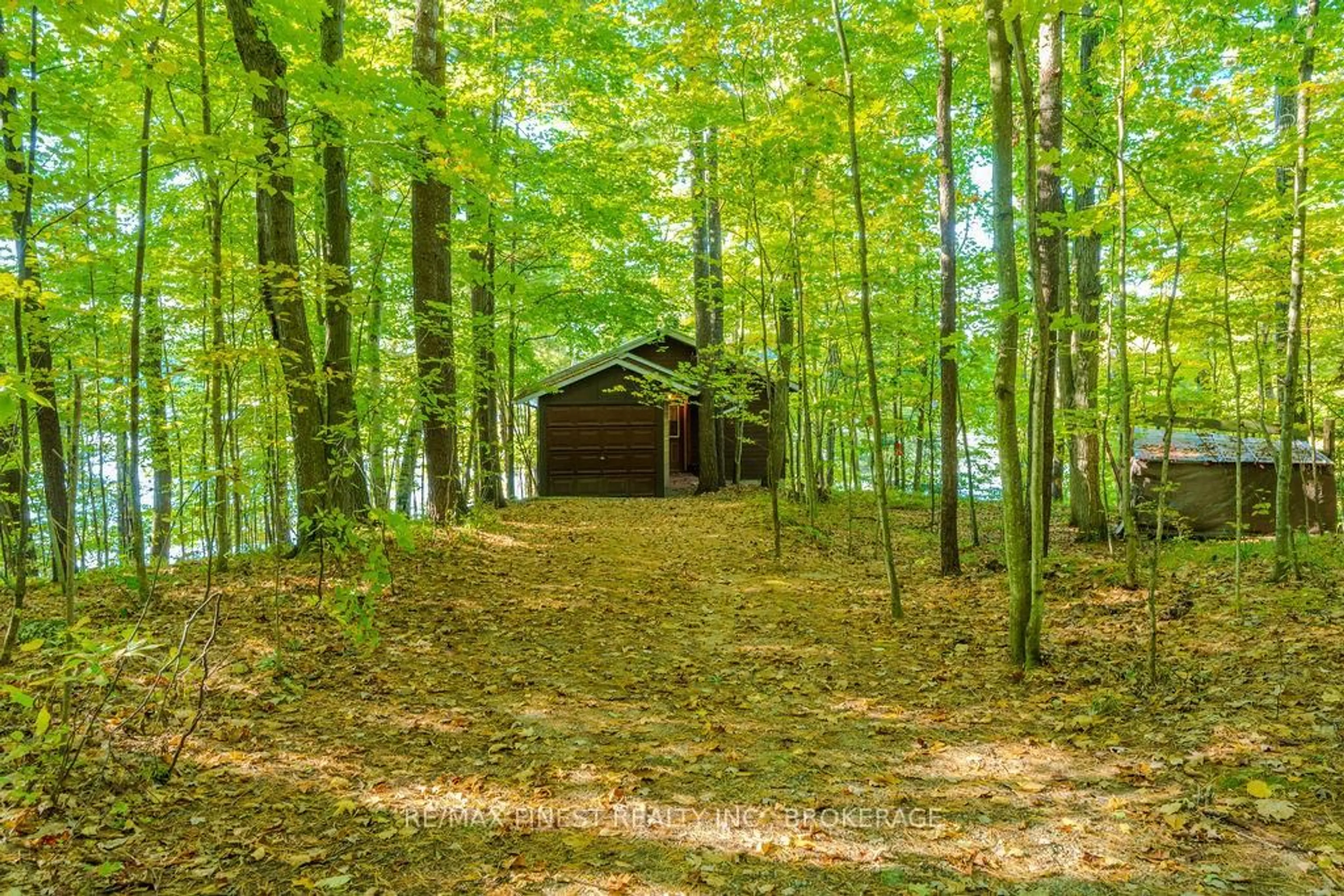 Shed for 2305 OPINICON Rd #E, Rideau Lakes Ontario K0G 1P0
