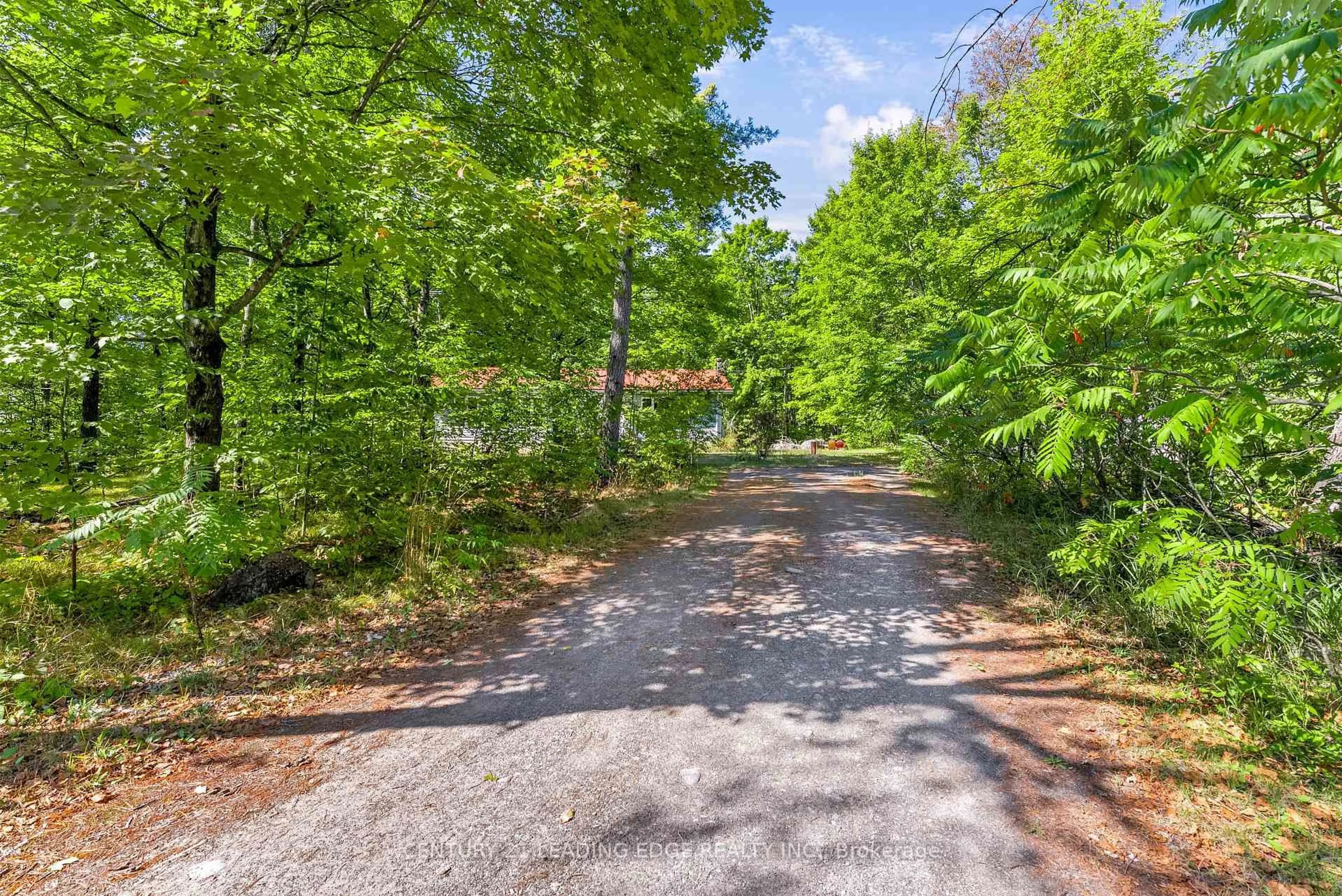 A pic from outside/outdoor area/front of a property/back of a property/a pic from drone, forest/trees view for 47 Reynolds Rd, Madoc Ontario K0K 2K0
