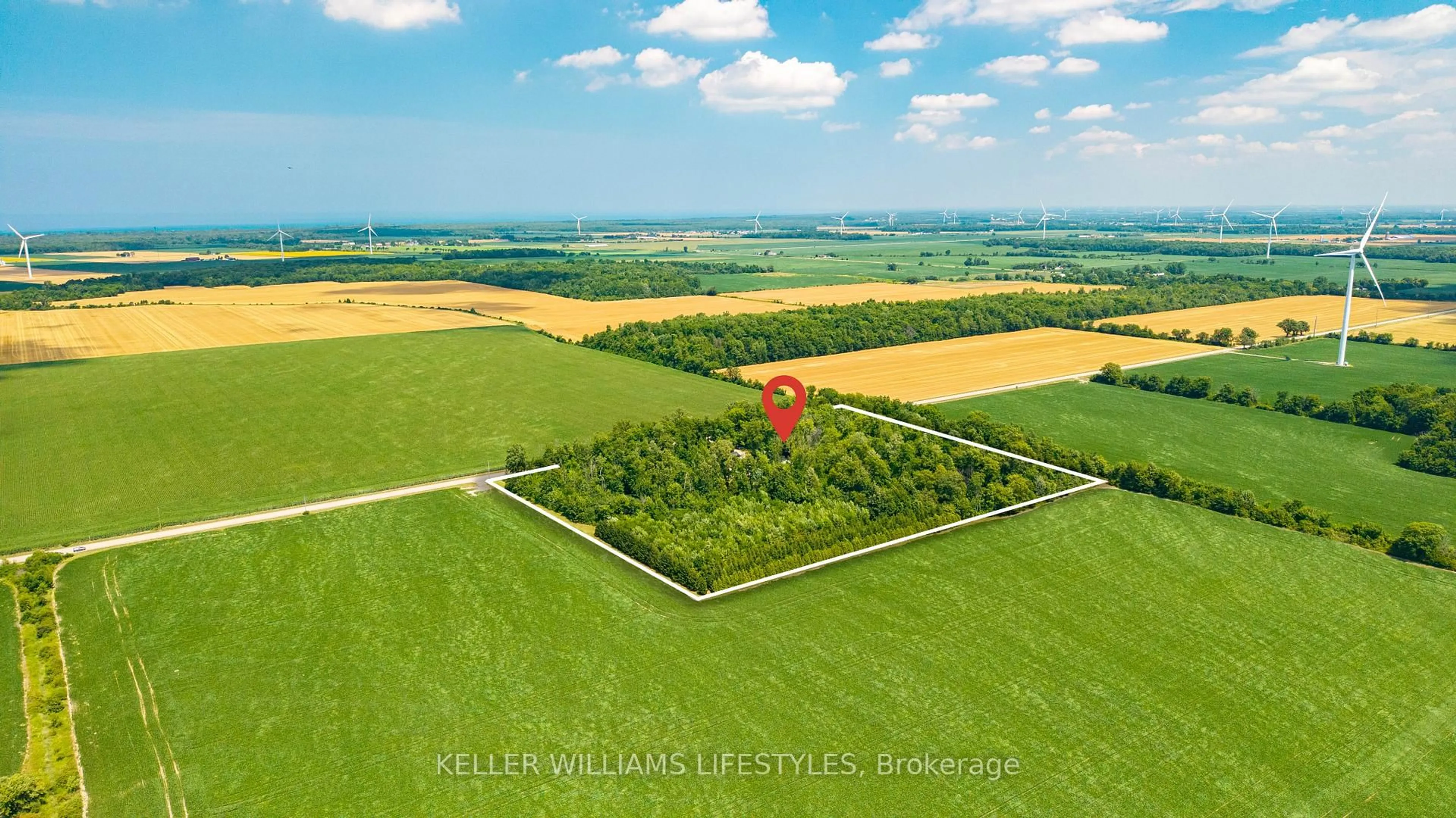 A pic from outside/outdoor area/front of a property/back of a property/a pic from drone, forest/trees view for 6545 Thomson Line, Lambton Shores Ontario N0N 1J2