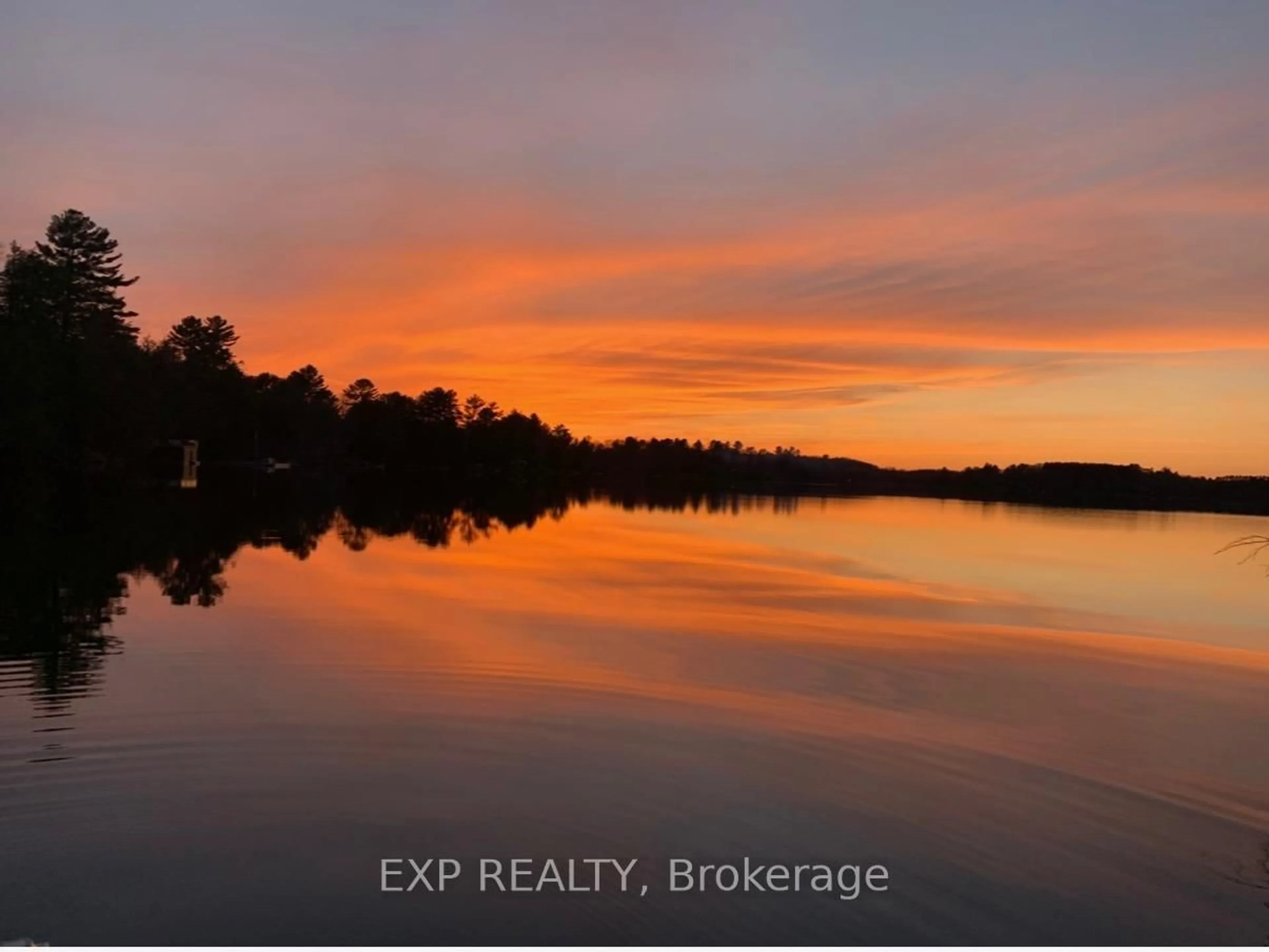 Blurry image for 1105 Butterfly Rd #1, Muskoka Lakes Ontario P0B 1J0