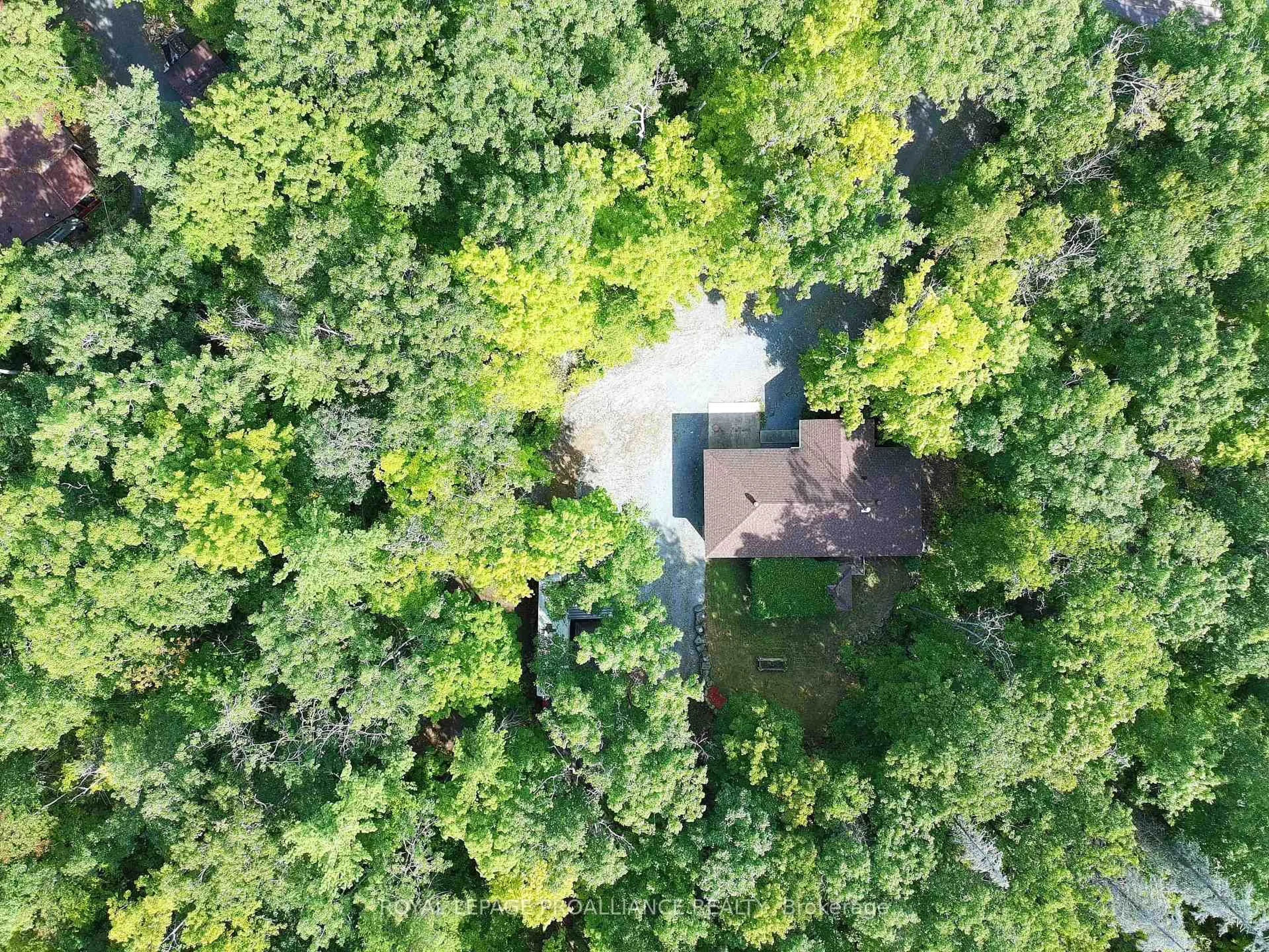 A pic from outside/outdoor area/front of a property/back of a property/a pic from drone, forest/trees view for 145 Maple Rd, Limoges Ontario K0K 2M0