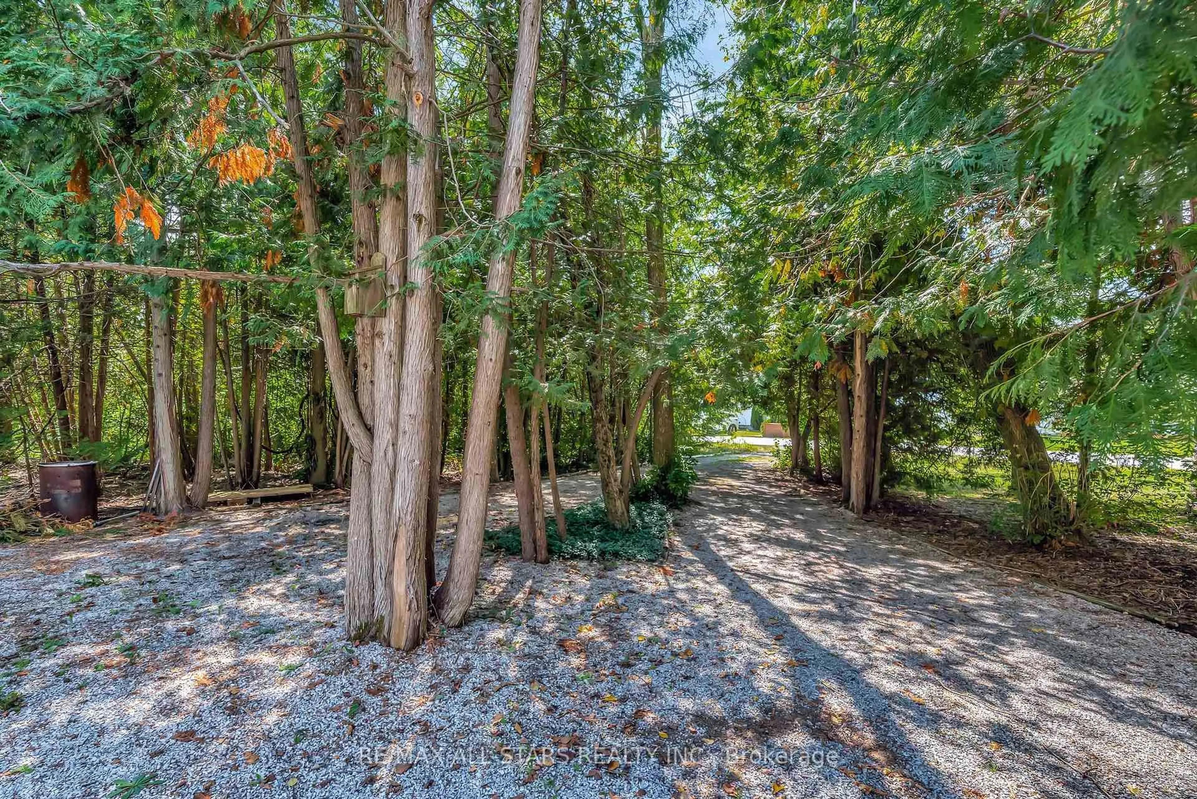 Patio, forest/trees view for 50 Bayview Estate Rd, Kawartha Lakes Ontario K0M 1N0
