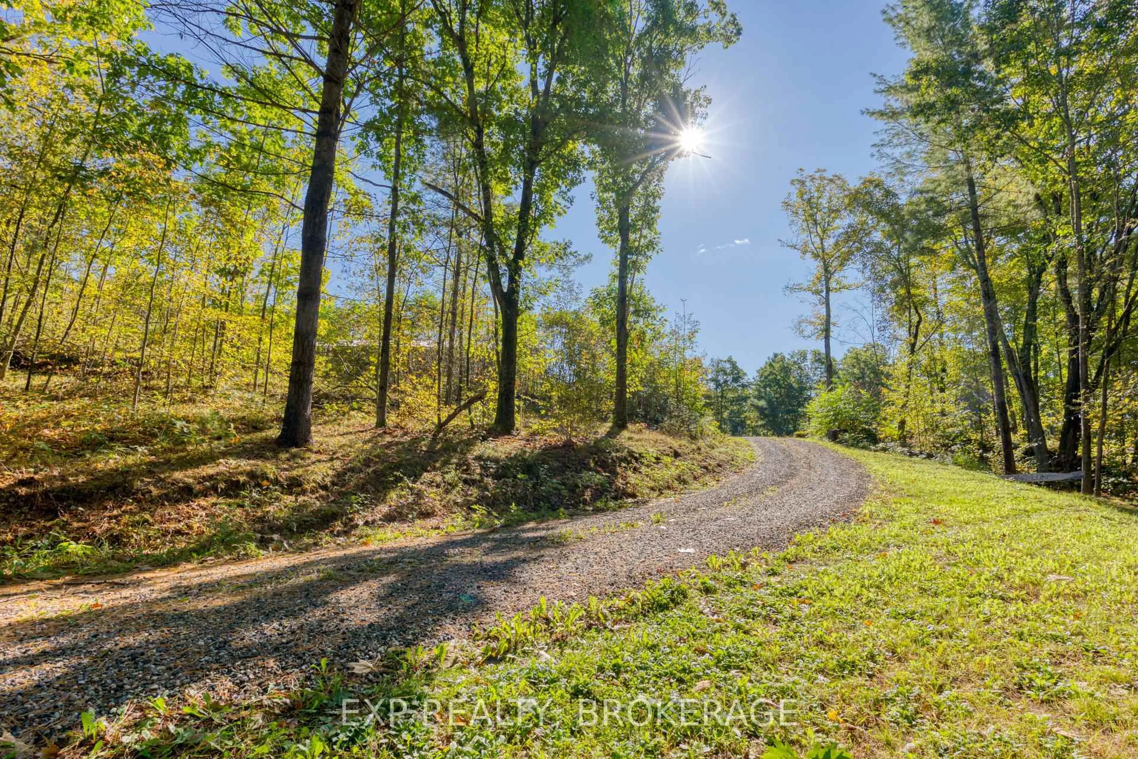 A pic from outside/outdoor area/front of a property/back of a property/a pic from drone, forest/trees view for 1506 Williams Lane, Sharbot Lake Ontario K0H 2P0