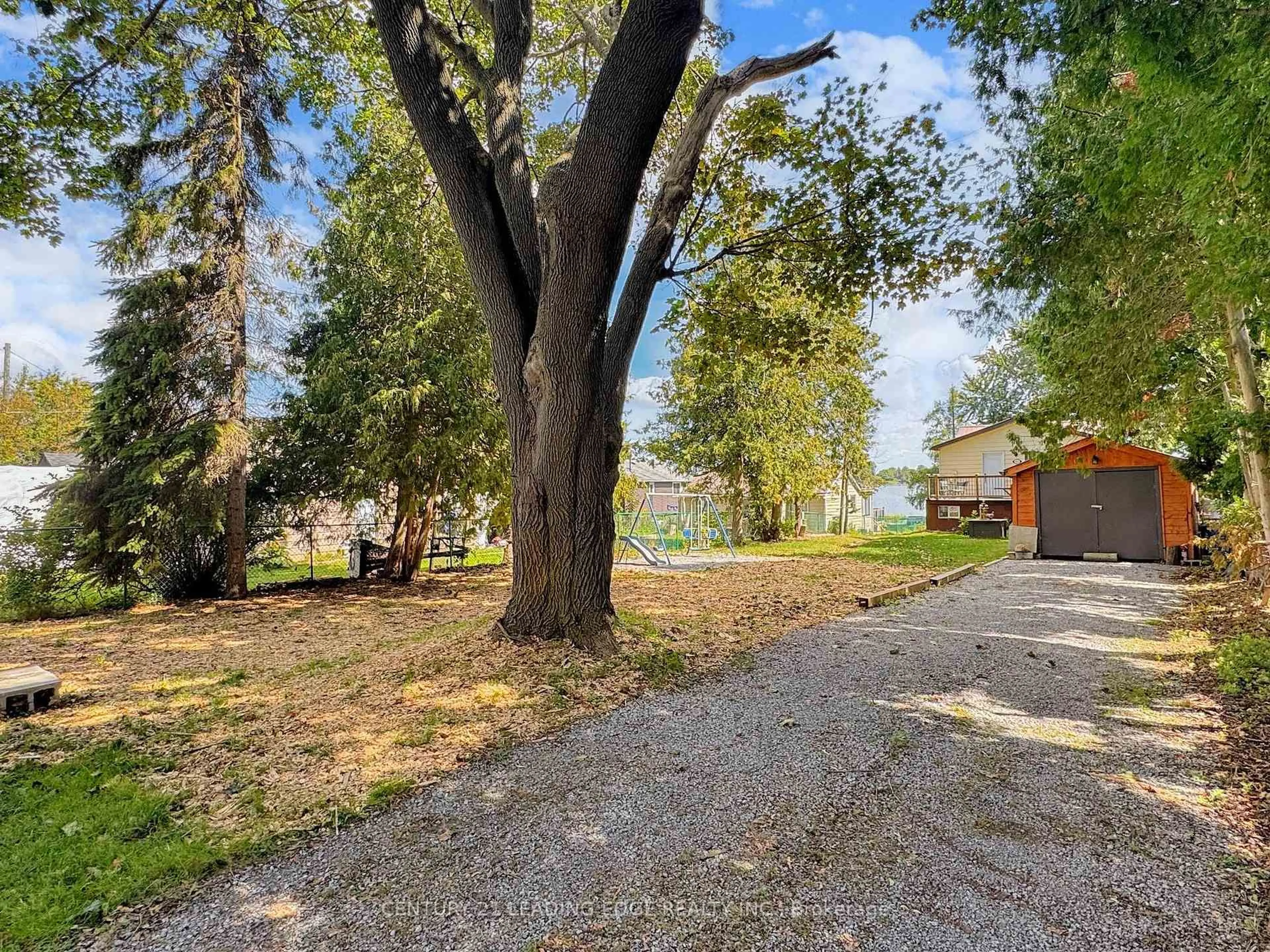A pic from outside/outdoor area/front of a property/back of a property/a pic from drone, street for 65 Druan Dr, Kawartha Lakes Ontario L9L 1B6