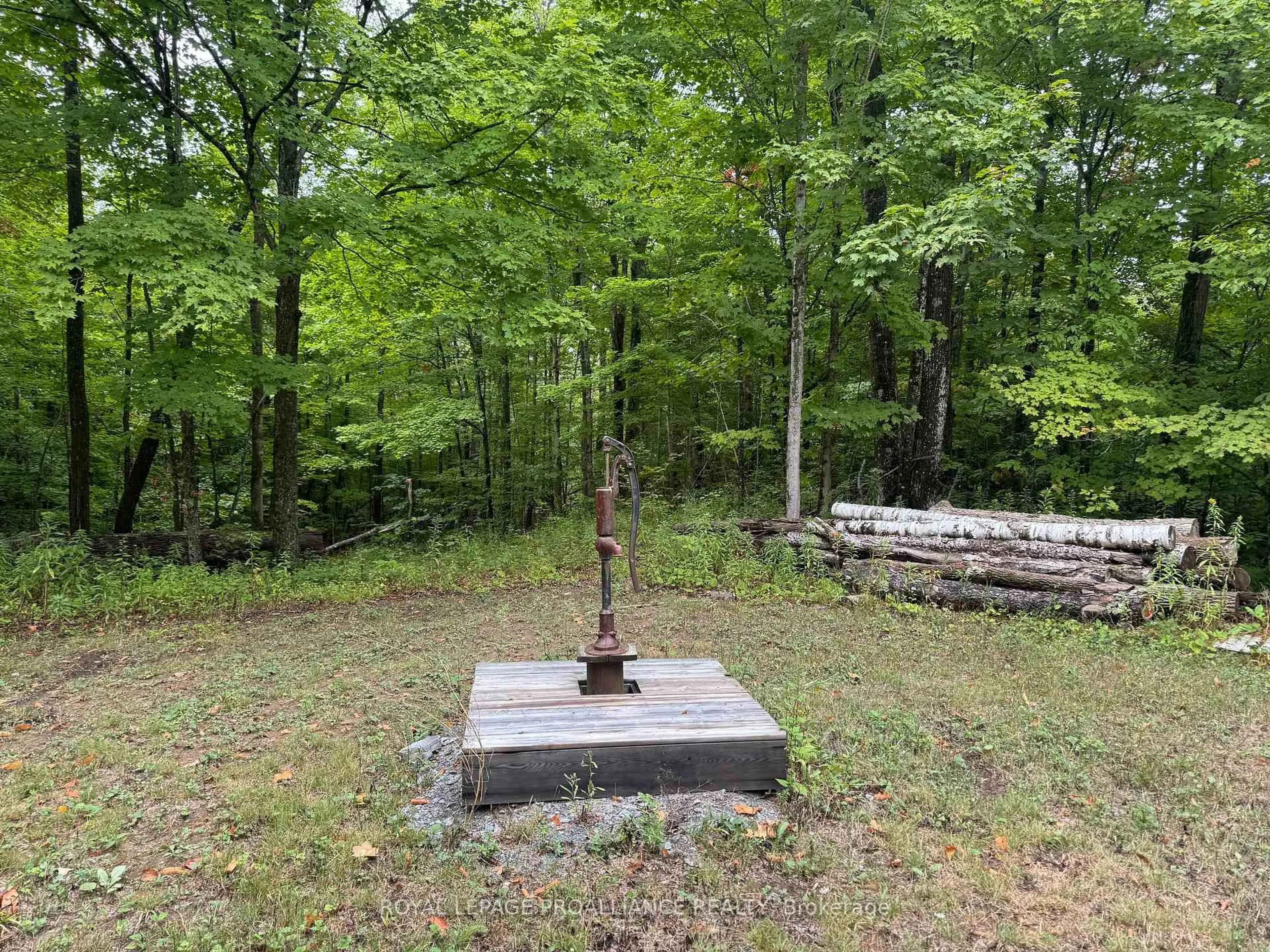 Patio, forest/trees view for 0 Gulf Rd, Madoc Ontario K0K 2K0