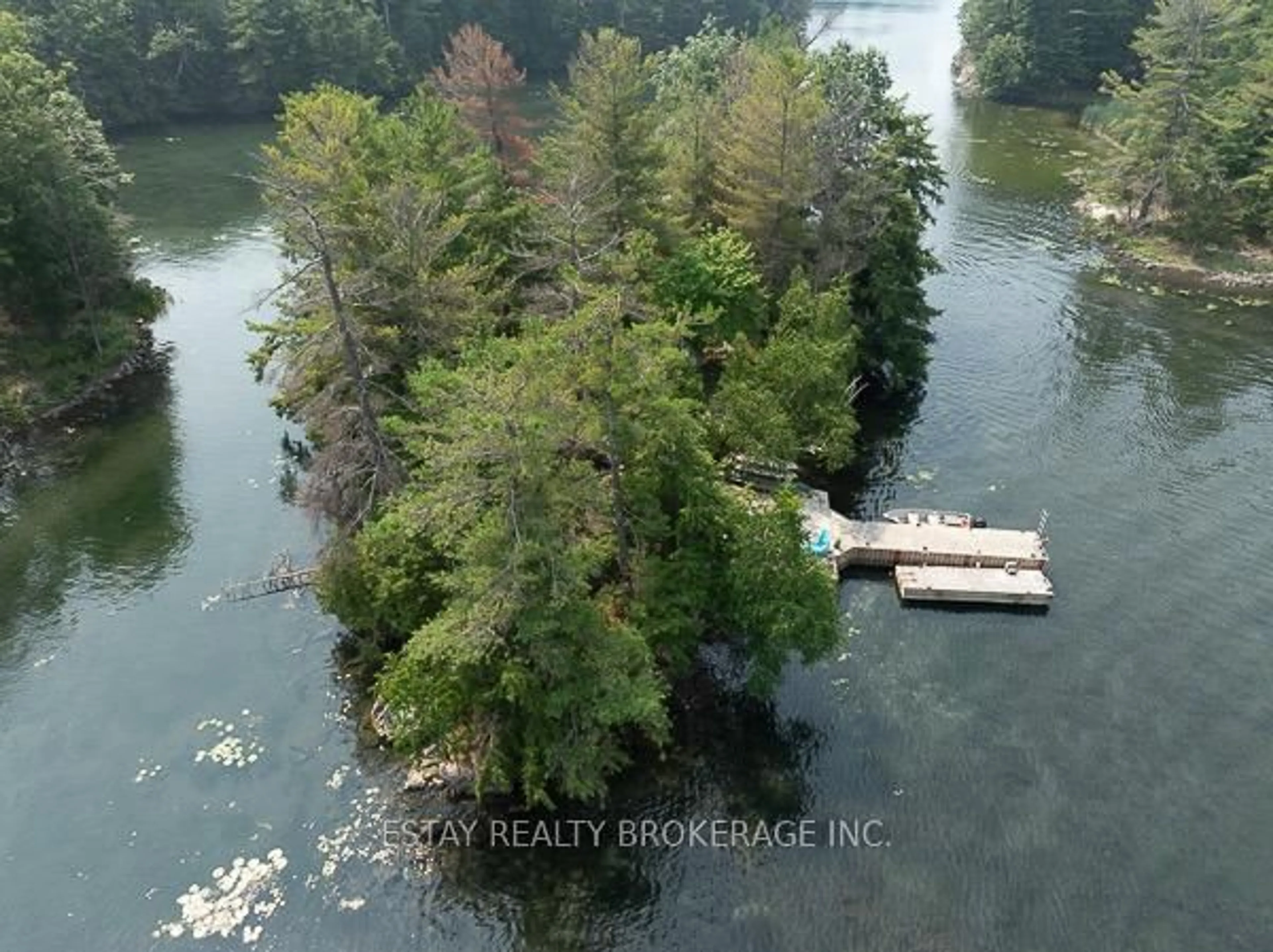 A pic from outside/outdoor area/front of a property/back of a property/a pic from drone, water/lake/river/ocean view for 1 Island 60, Lansdowne Ontario K0E 1L0