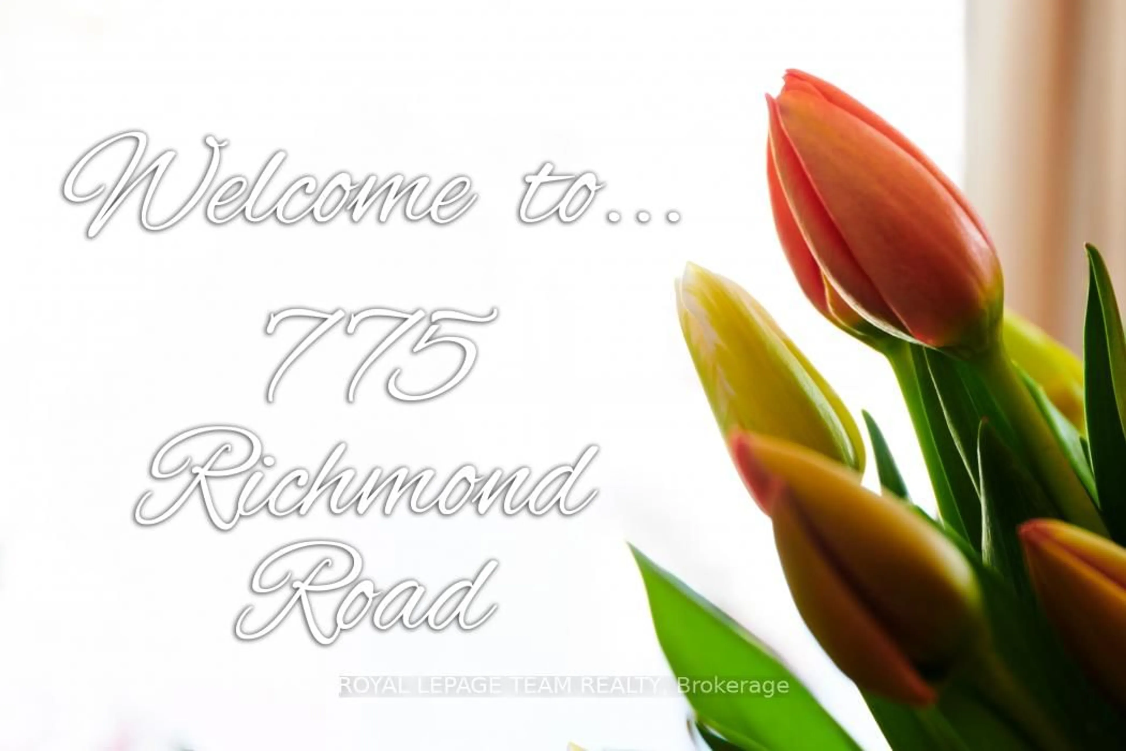 Blurry image for 775 Richmond Rd #7, Ottawa Ontario K2A 0G7