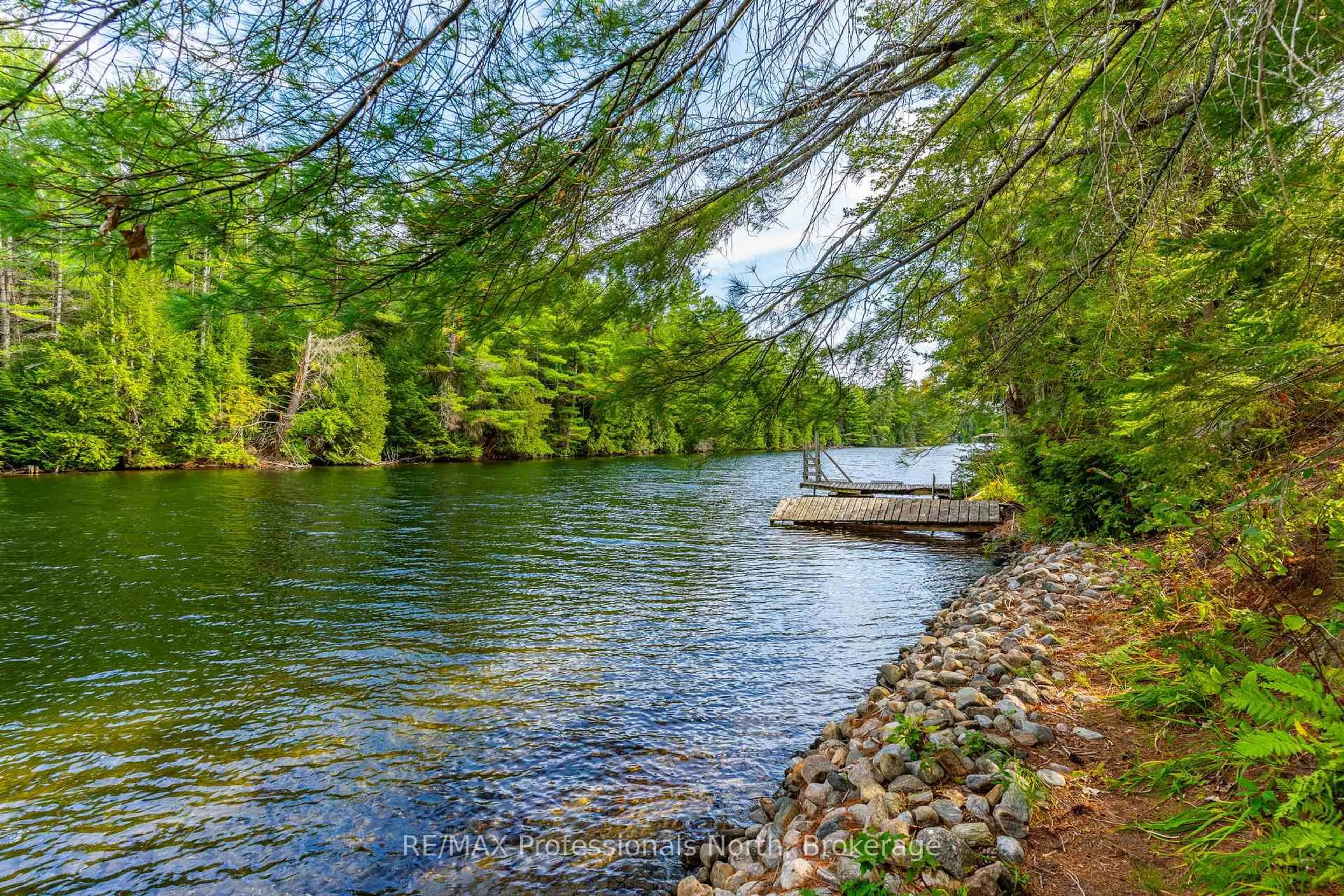 Pool for 33 Hoskin Rd, Kawartha Lakes Ontario K0M 1L0
