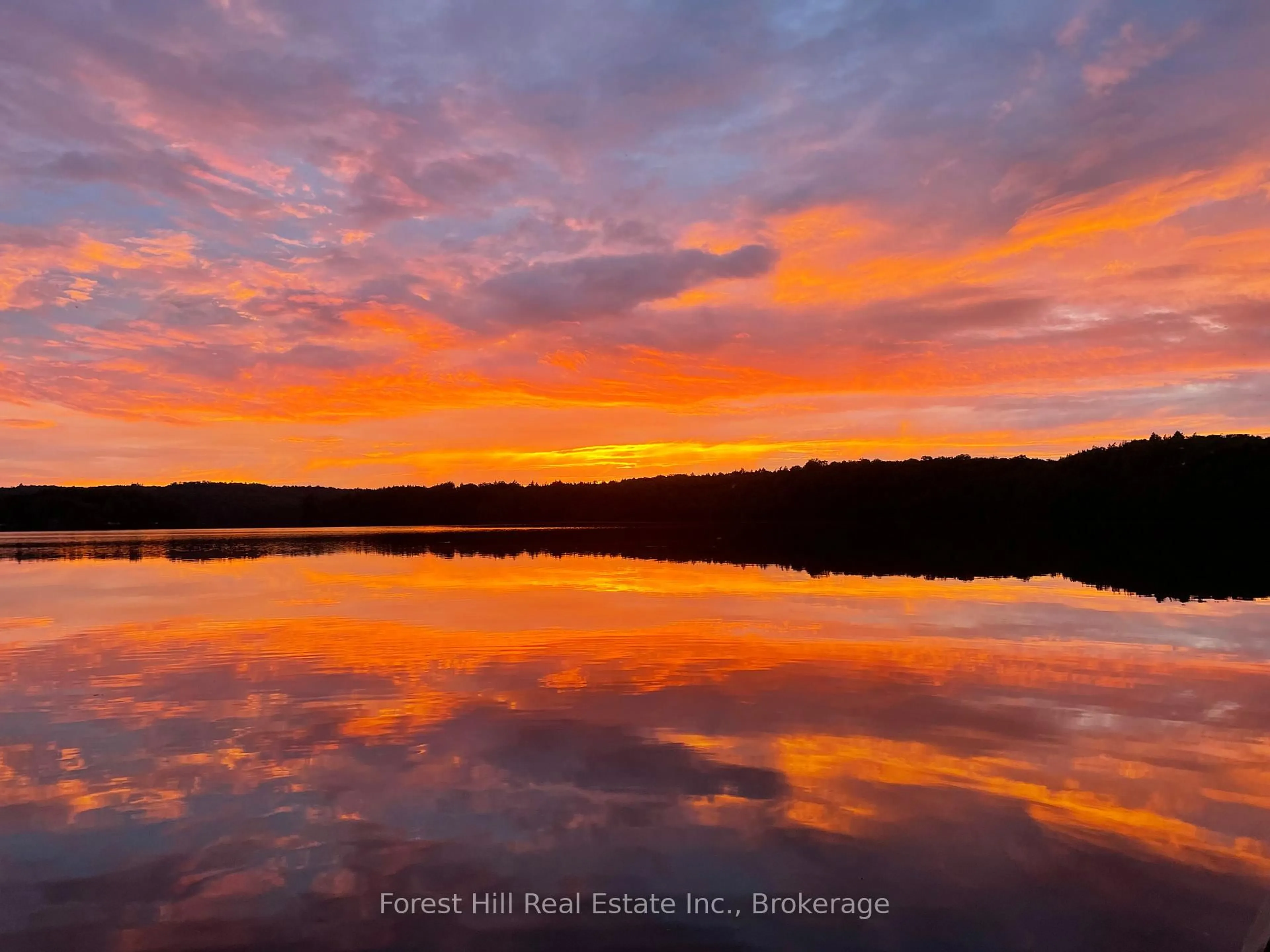 Blurry image for 1168 Inspiration Dr, Algonquin Highlands Ontario P0A 1E0