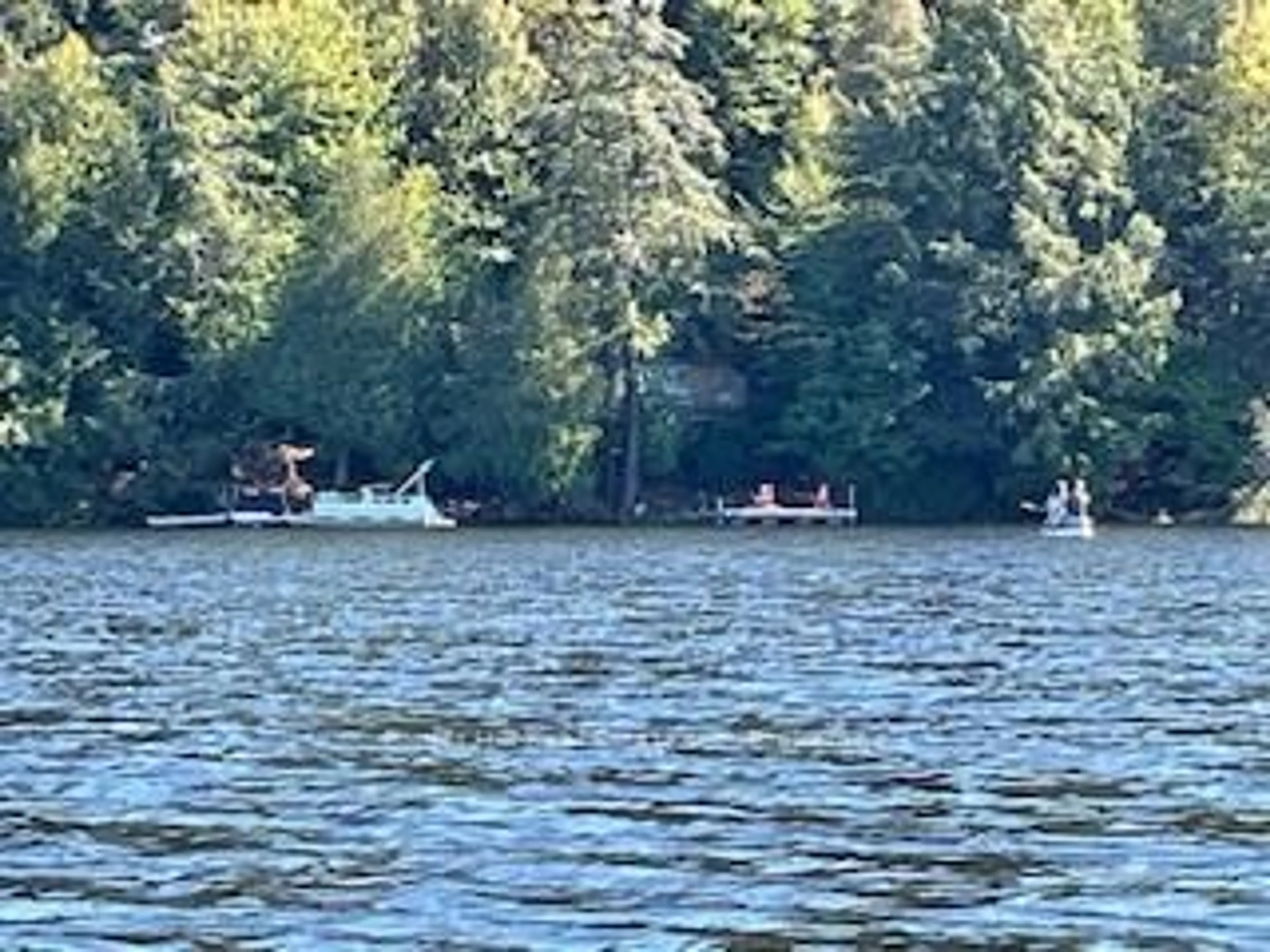 Blurry image for 1168 Inspiration Dr, Algonquin Highlands Ontario P0A 1E0