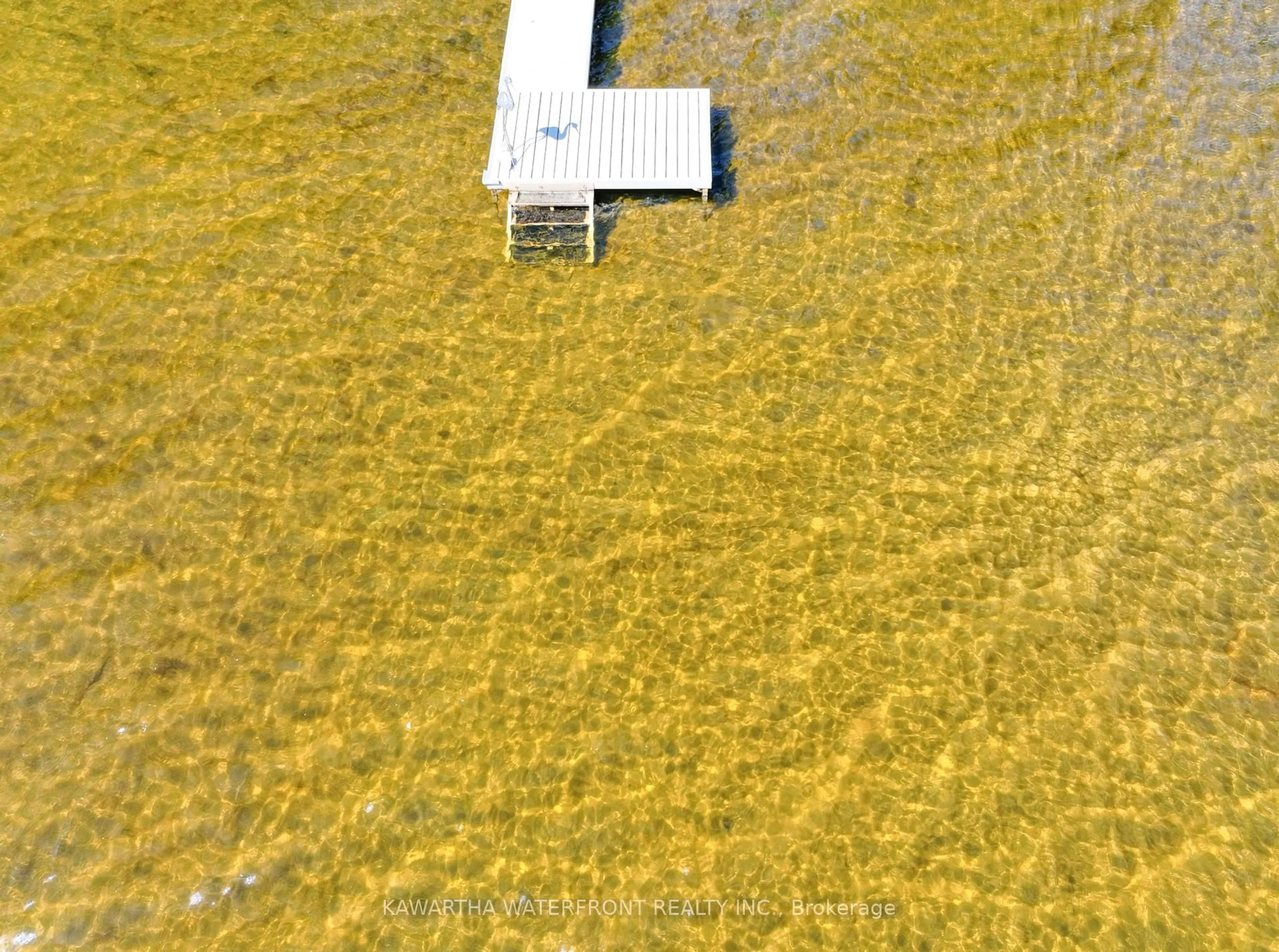 A pic from outside/outdoor area/front of a property/back of a property/a pic from drone, water/lake/river/ocean view for 210 Wrenhaven Rd, Kawartha Lakes Ontario K0M 1N0