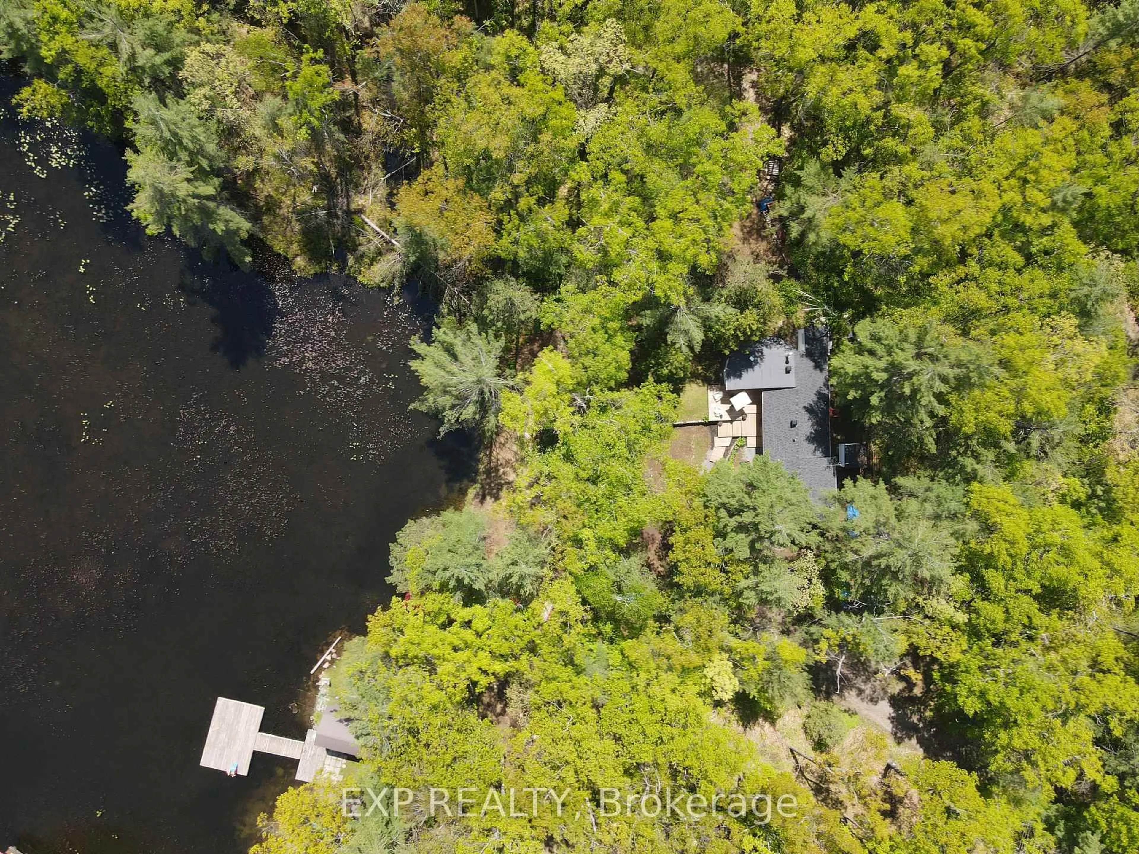 A pic from outside/outdoor area/front of a property/back of a property/a pic from drone, water/lake/river/ocean view for 847 West Kosh Lake Rd, Havelock-Belmont-Methuen Ontario K0L 2H0