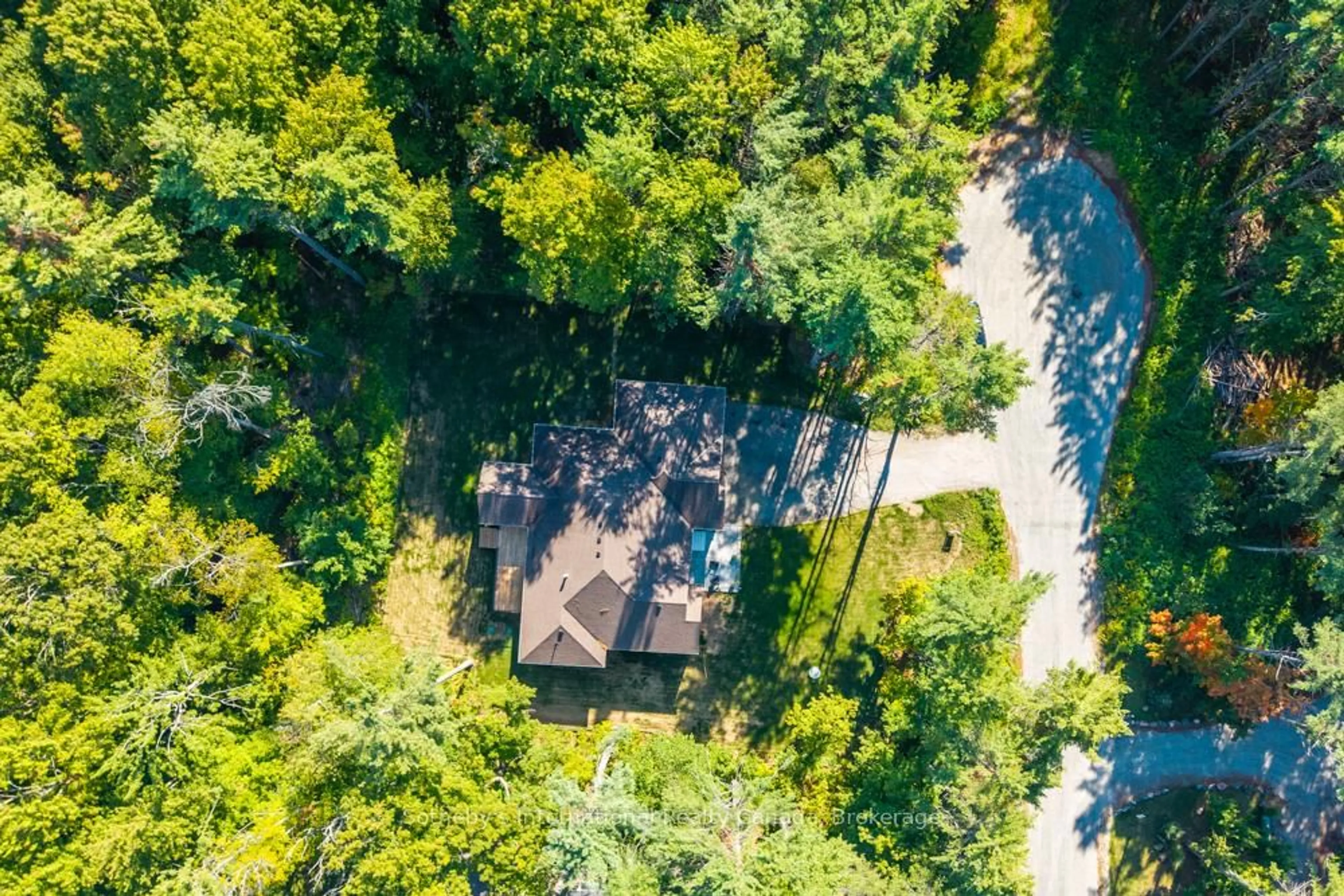 A pic from outside/outdoor area/front of a property/back of a property/a pic from drone, forest/trees view for 1030 Xavier St, Gravenhurst Ontario P0E 1G0