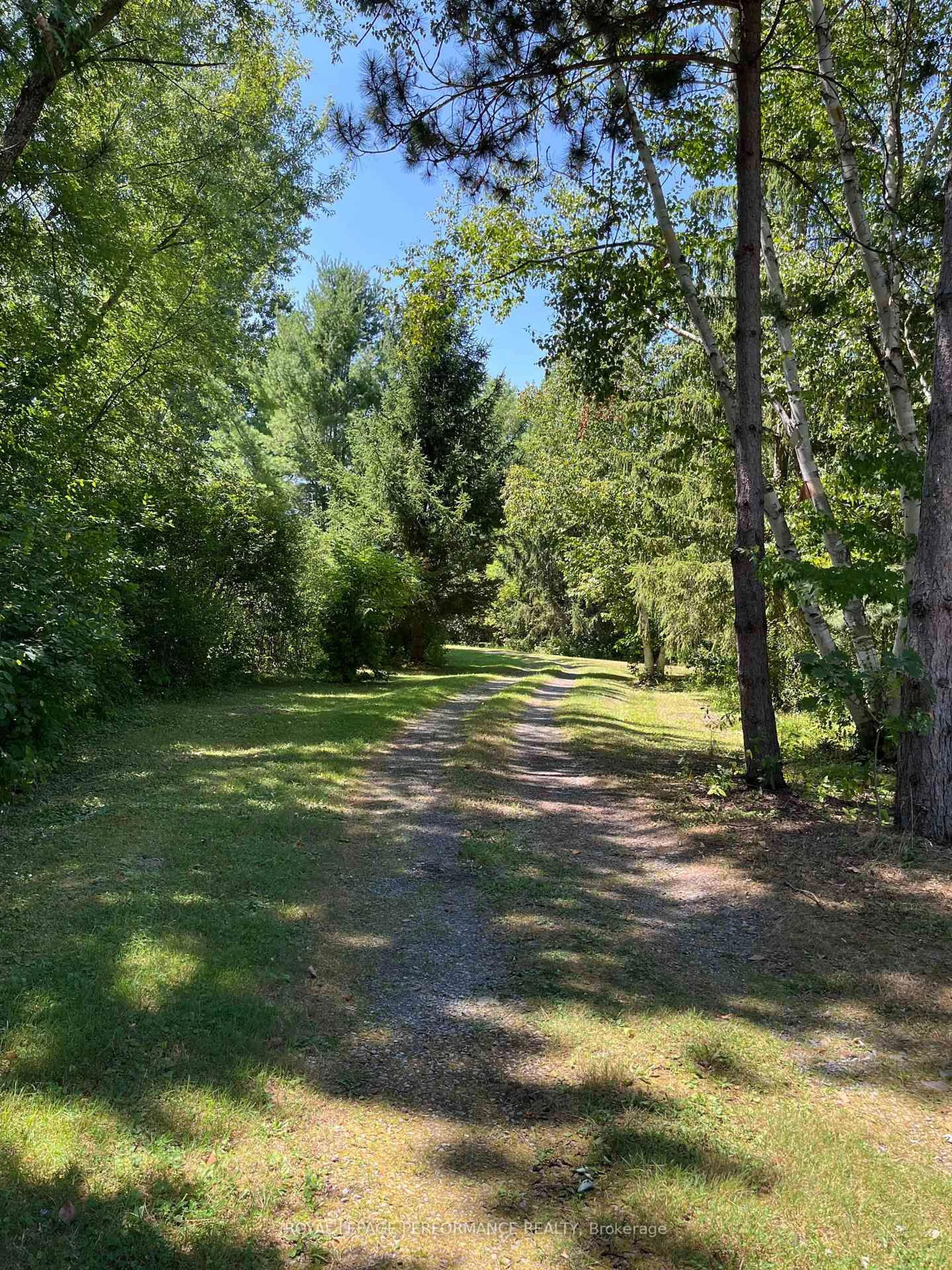 A pic from outside/outdoor area/front of a property/back of a property/a pic from drone, forest/trees view for 2620 Marchurst Rd, Ottawa Ontario K0A 1T0