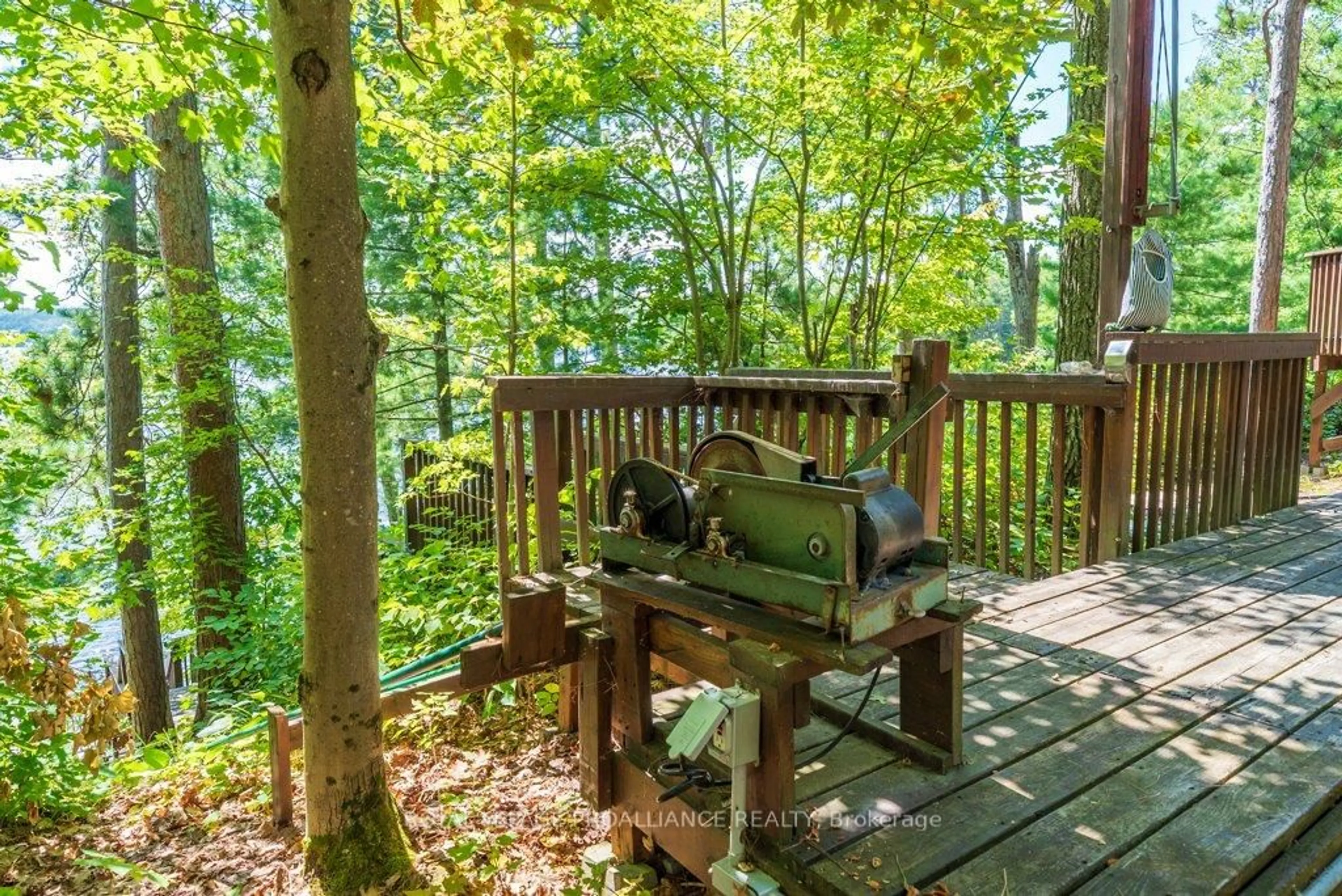Patio, forest/trees view for 163 Mazinaw Lake, Cloyne Ontario K0H 1K0