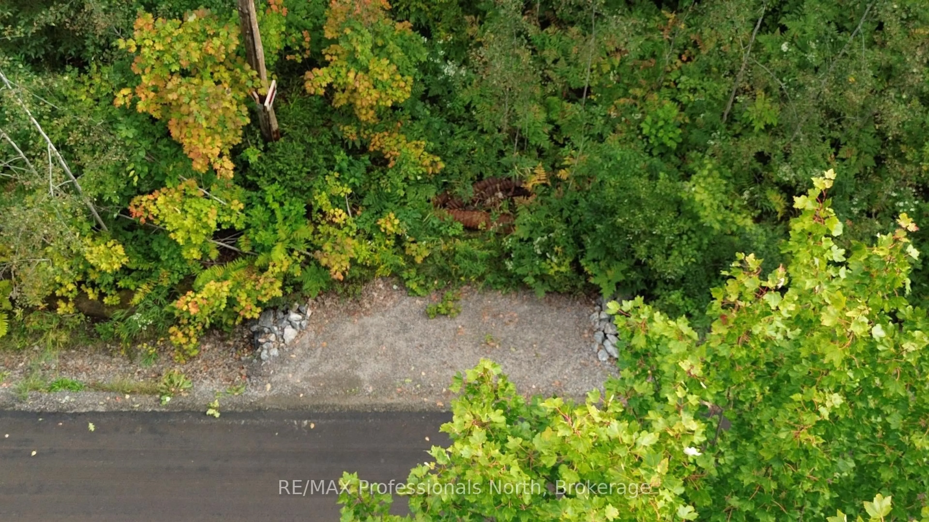 A pic from outside/outdoor area/front of a property/back of a property/a pic from drone, forest/trees view for 671 Lynx Lake Rd, Huntsville Ontario P1H 2J3