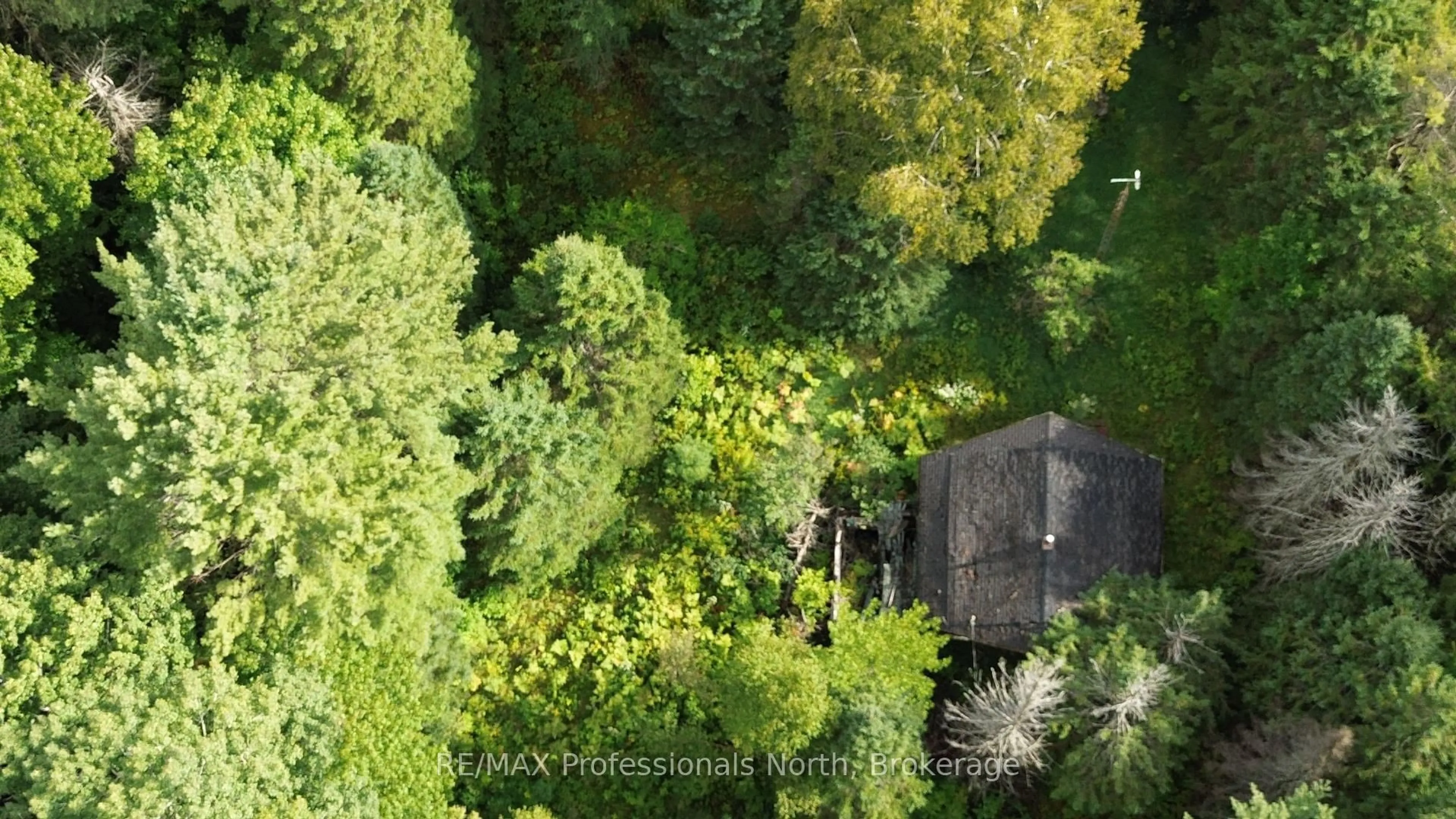 A pic from outside/outdoor area/front of a property/back of a property/a pic from drone, forest/trees view for 671 Lynx Lake Rd, Huntsville Ontario P1H 2J3