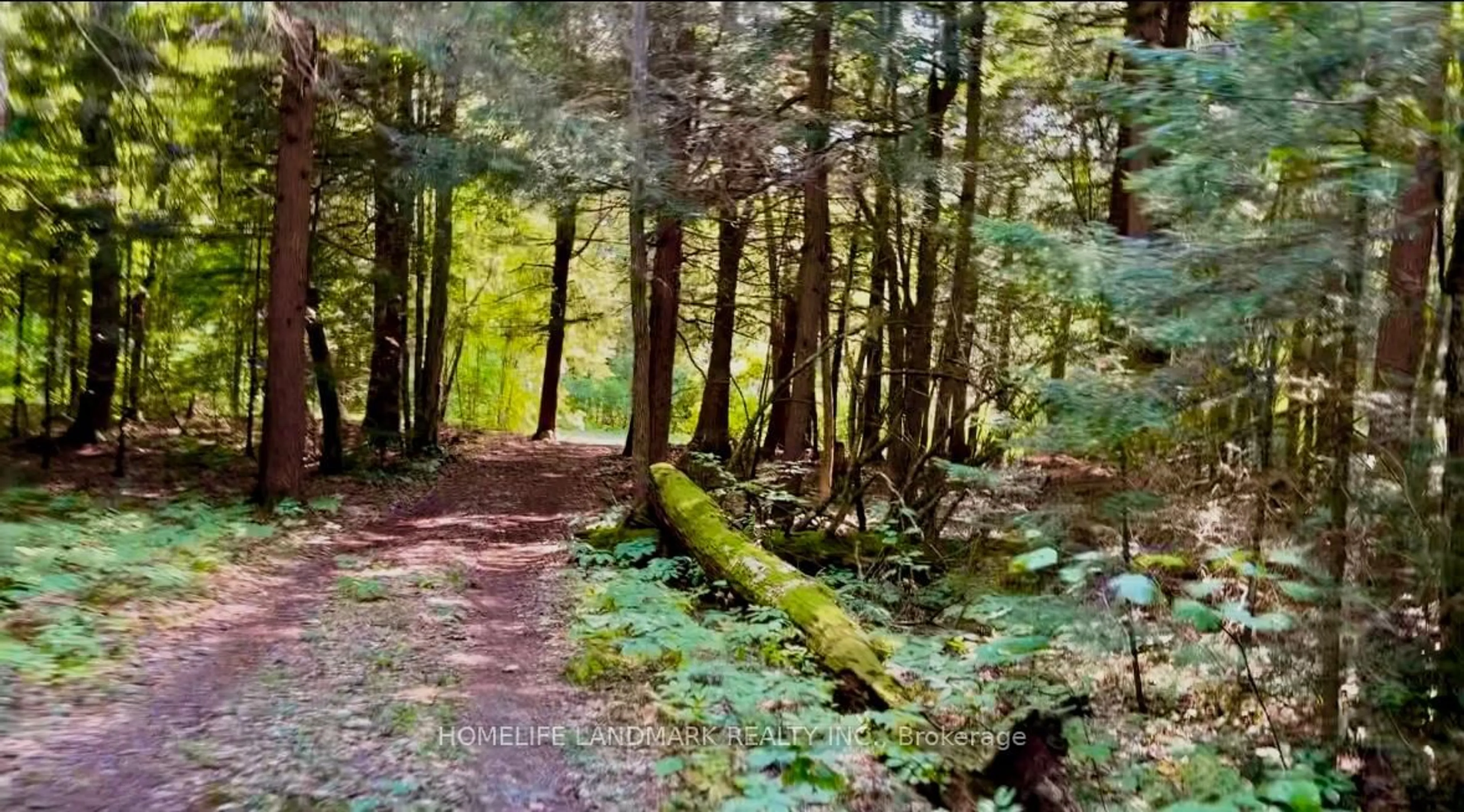 Blurry image for 1663 Mississaugi Bay Rd, Huron Shores Ontario P0R 1H0