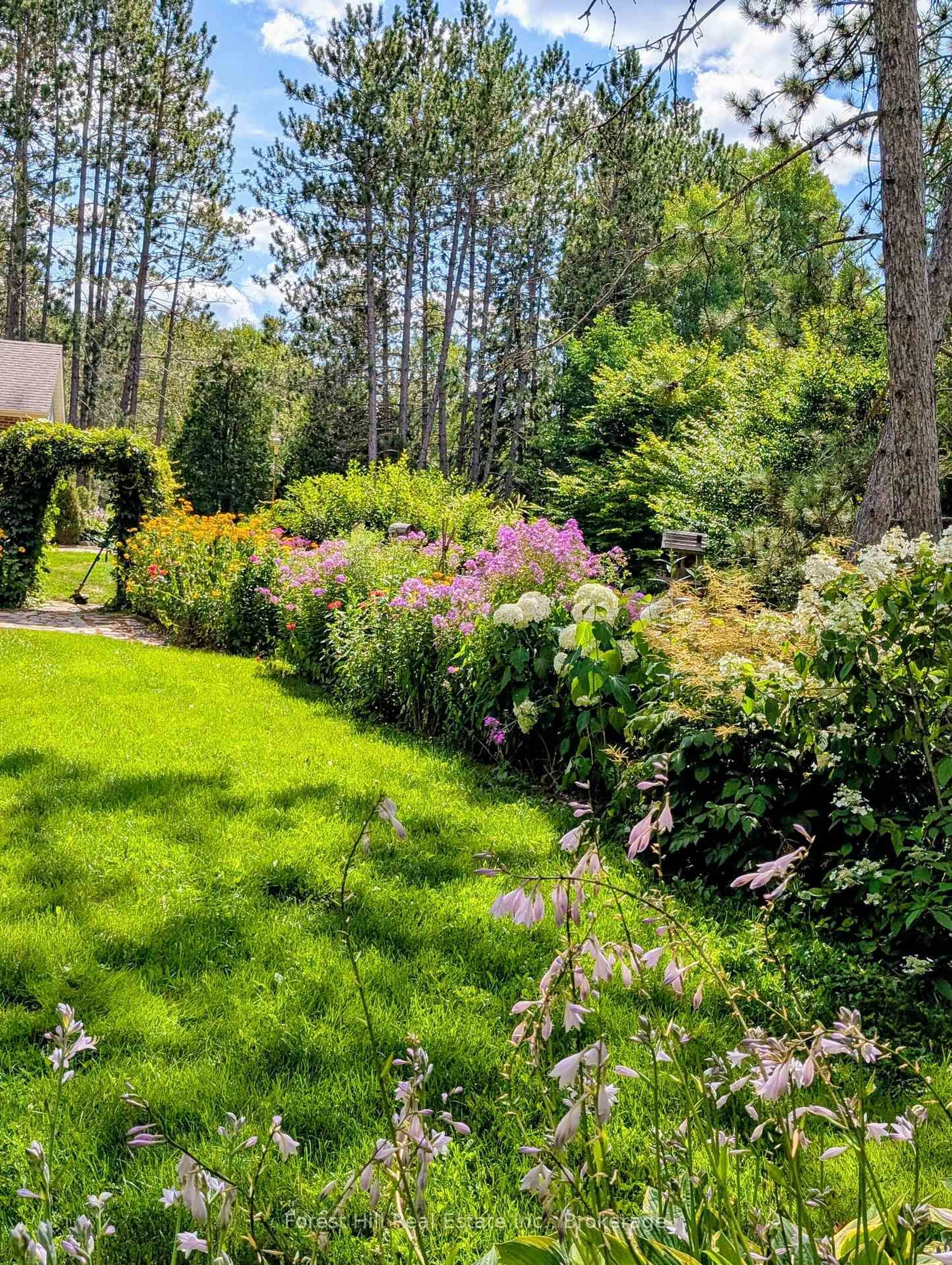 A pic from outside/outdoor area/front of a property/back of a property/a pic from drone, forest/trees view for 1959 Highway 124 Highway, Whitestone Ontario P0A 1J0