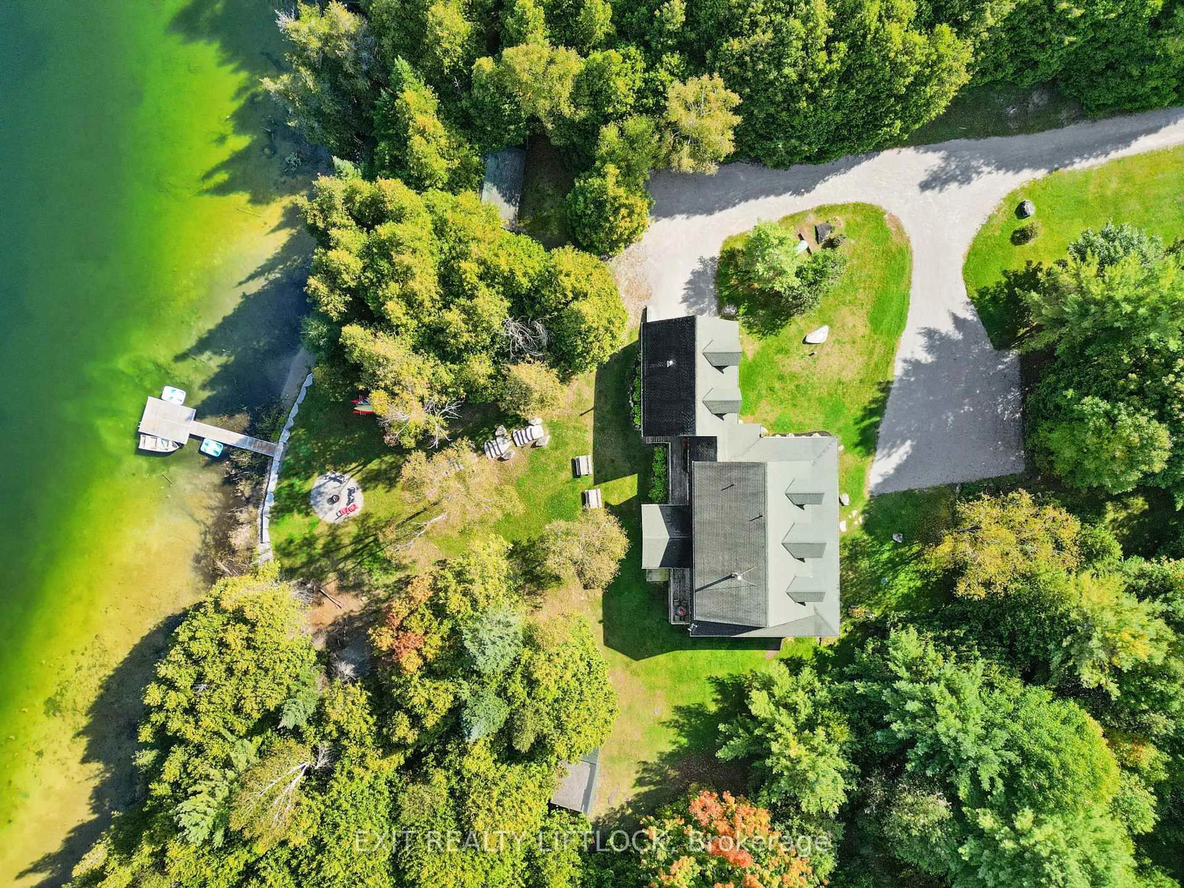 A pic from outside/outdoor area/front of a property/back of a property/a pic from drone, forest/trees view for 169 Dutch Line Rd, Kawartha Lakes Ontario K0M 2A0
