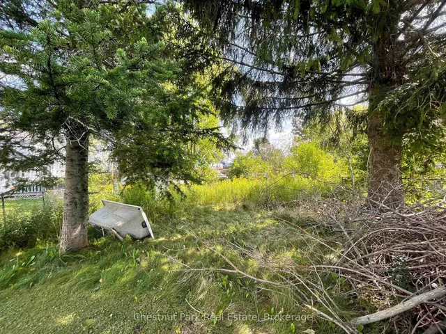 383 Thompson St, Meaford 3