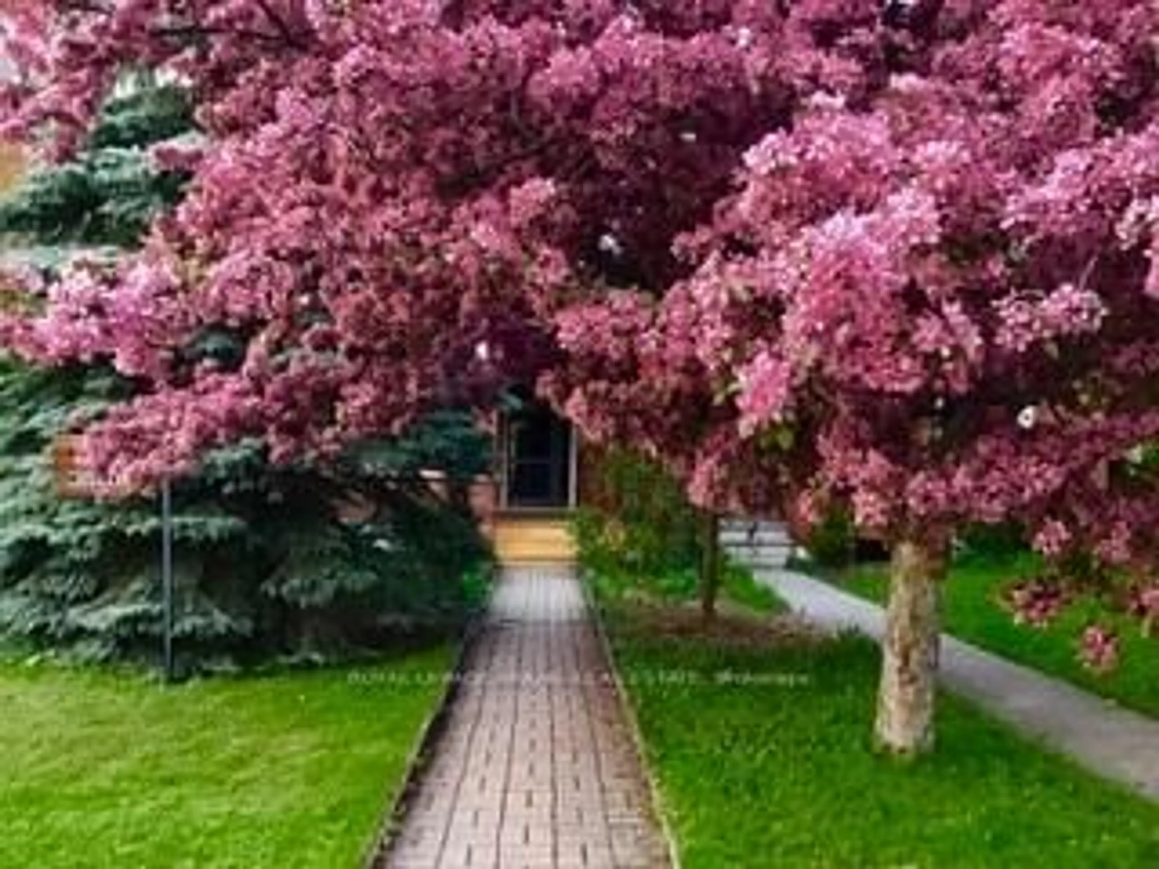 Patio, street for 210 McDonnel St, Peterborough Ontario K9H 2V9