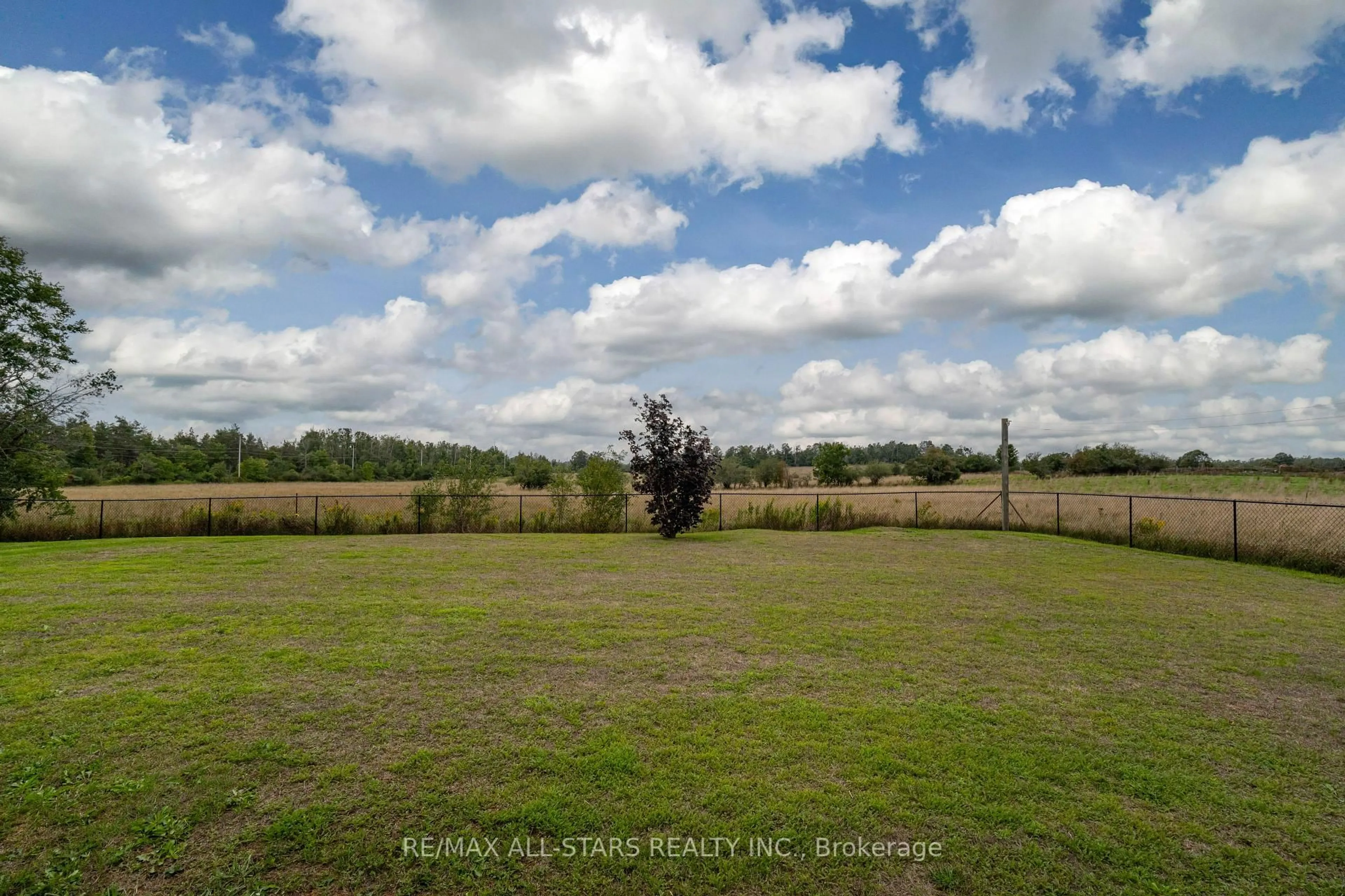 A pic from outside/outdoor area/front of a property/back of a property/a pic from drone, forest/trees view for 55 Sturgeon St, Kawartha Lakes Ontario K0L 2W0
