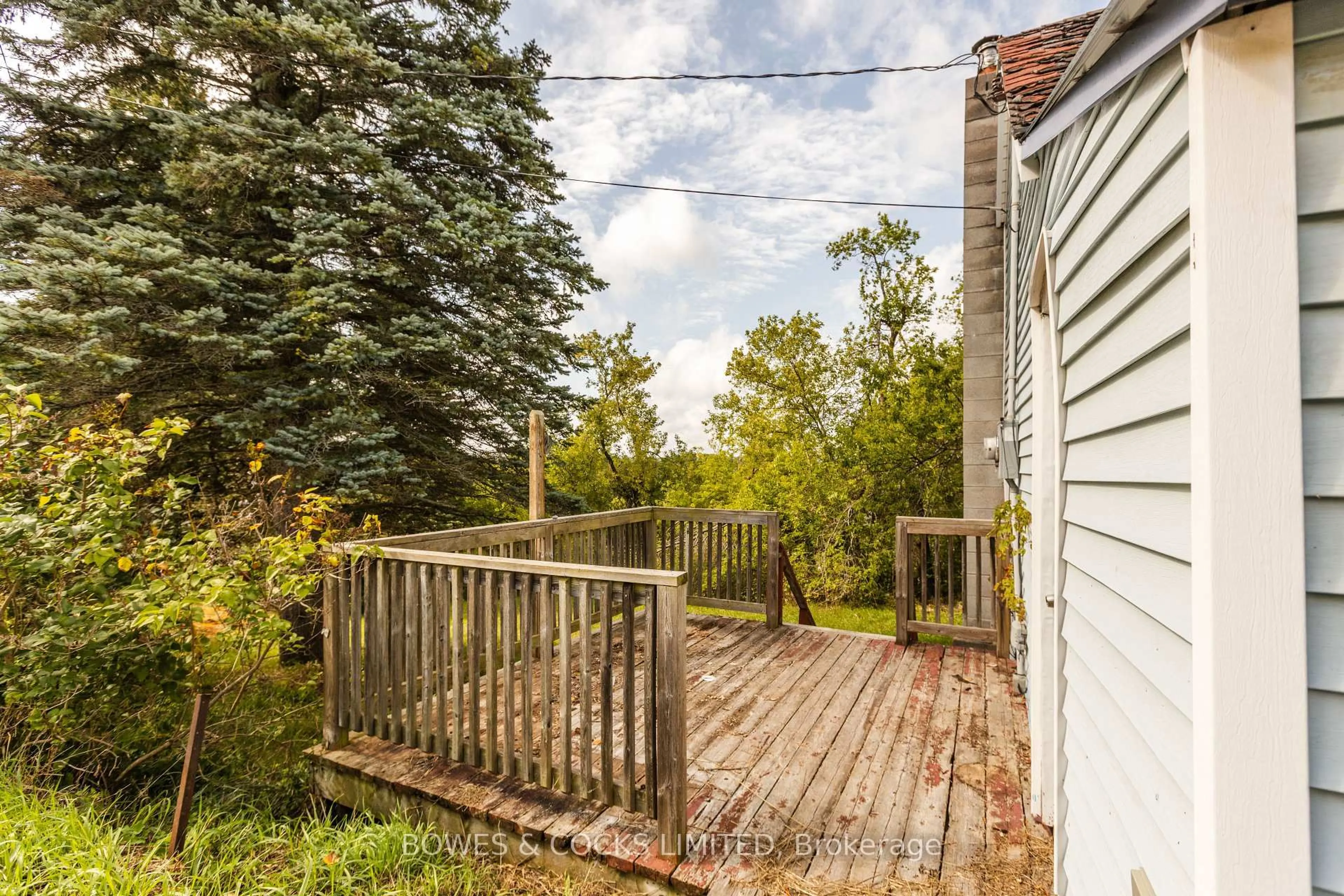 Patio, forest/trees view for 19 Jakeman St, Kawartha Lakes Ontario L0A 1A0