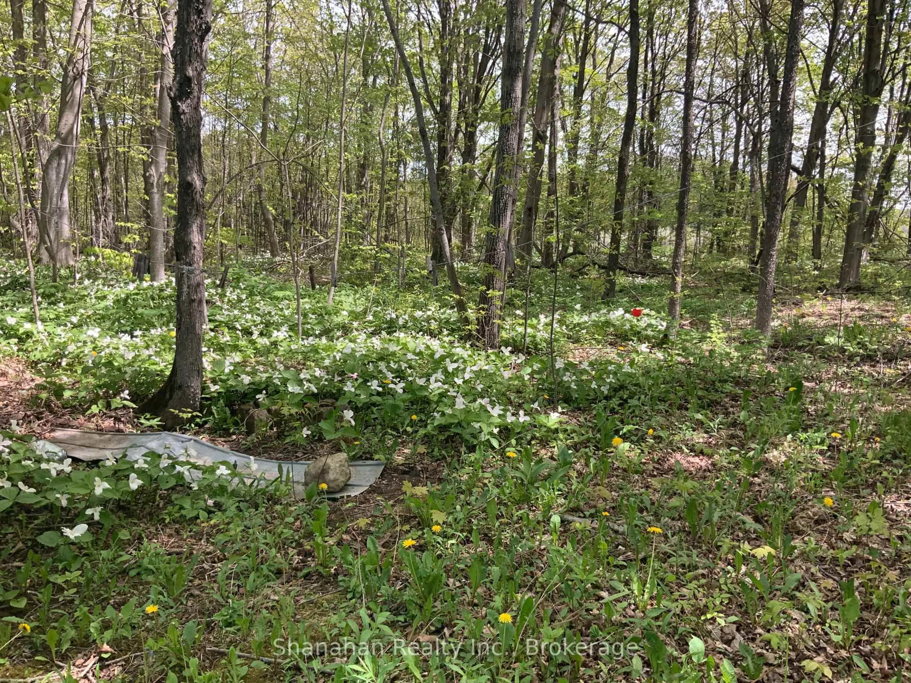 Blurry image for 46 Maple Golf Cres, Northern Bruce Peninsula Ontario N0H 2R0