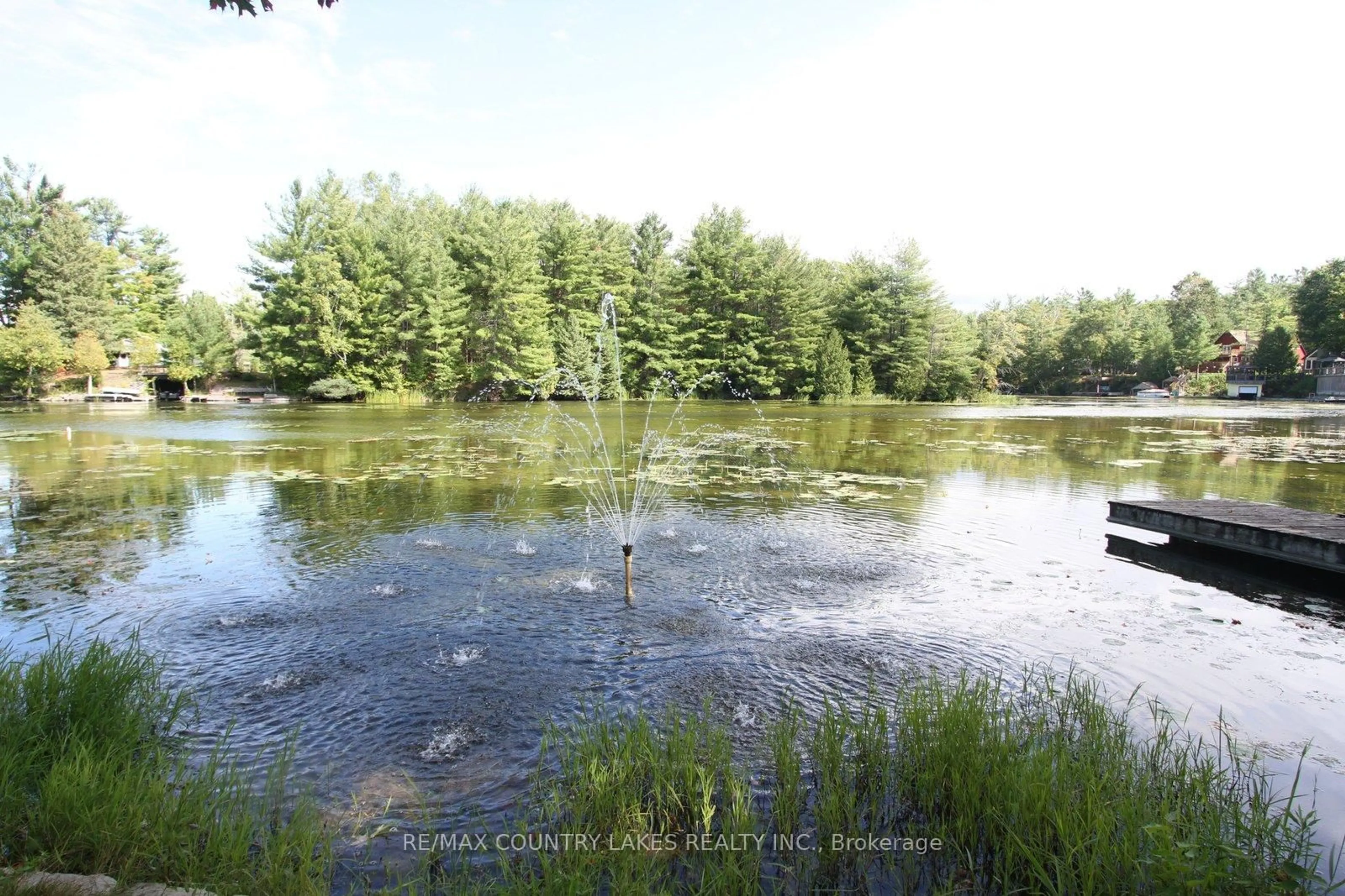 Blurry image for 113 Stanley Rd, Kawartha Lakes Ontario K0M 2T0