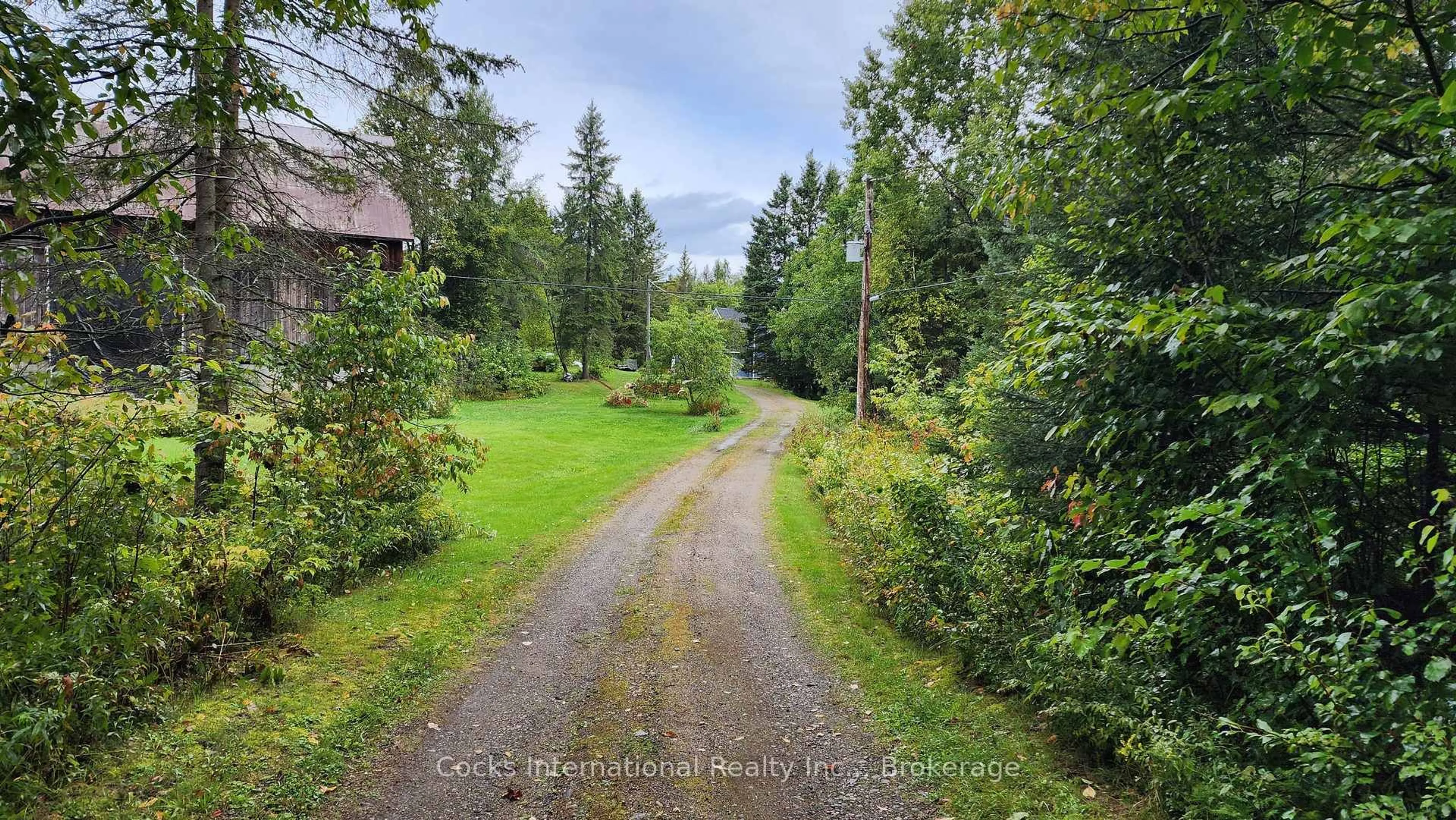 A pic from outside/outdoor area/front of a property/back of a property/a pic from drone, forest/trees view for 96 Pickerel & Jack Lake Rd, Armour Ontario P0A 1C0