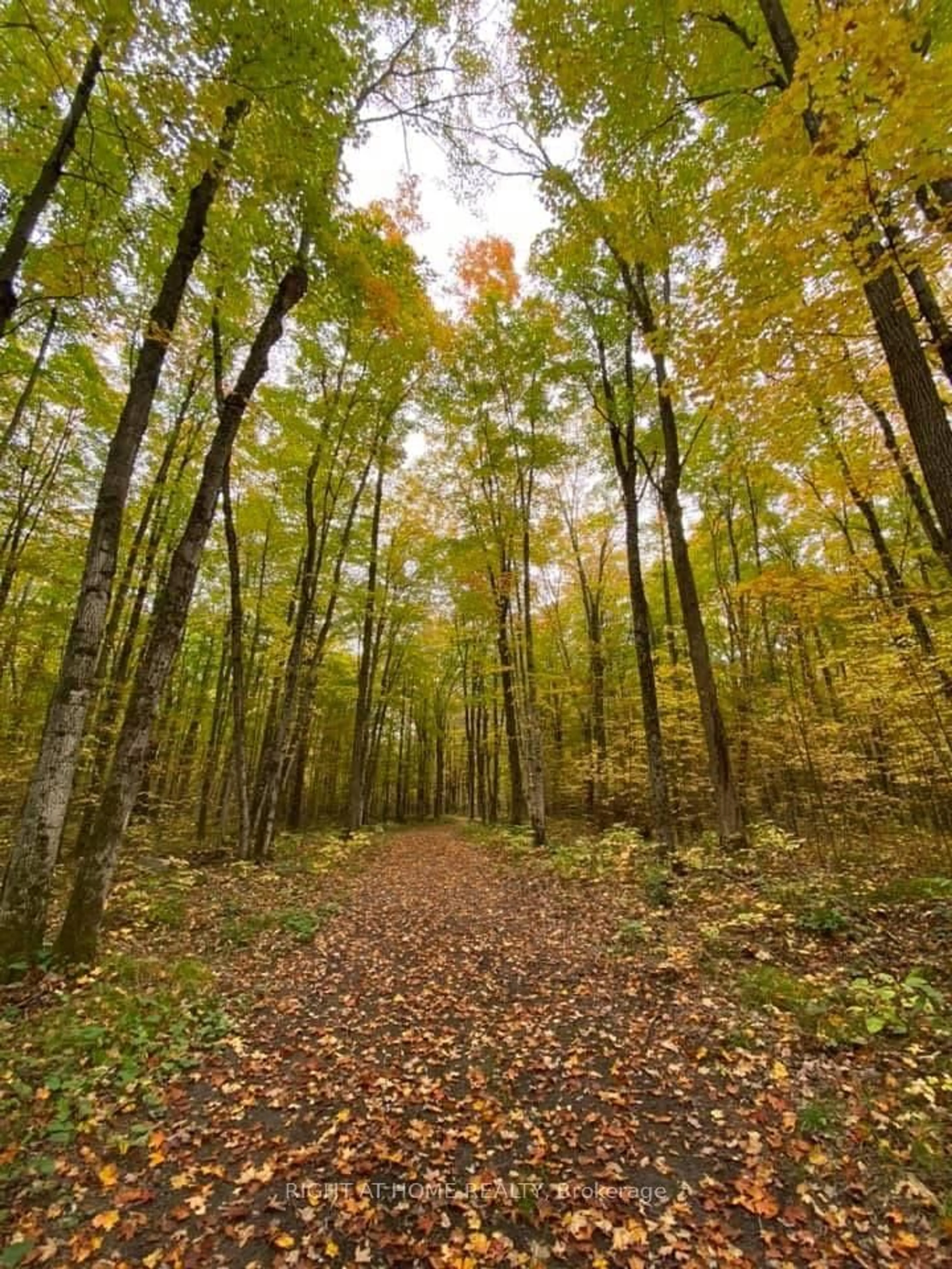 Blurry image for 2358 County Rd, Kawartha Lakes Ontario K0M 2B0
